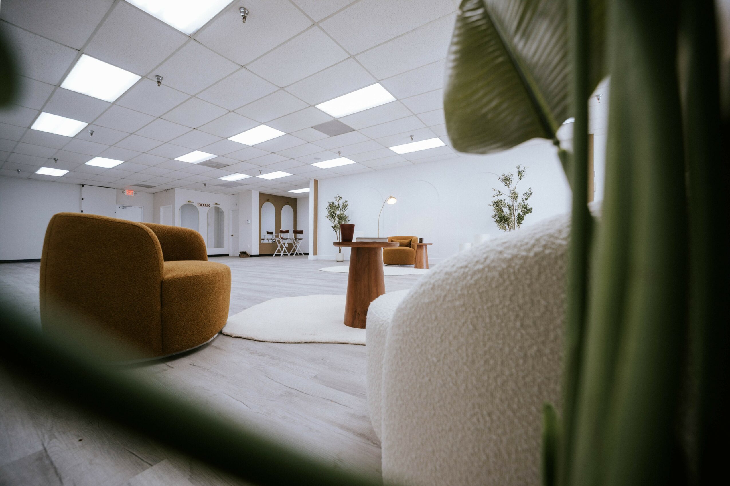 Modern interior with brown sofa, white walls, ceiling lights, wooden table, and potted plants, viewed through a partially obscured frame.