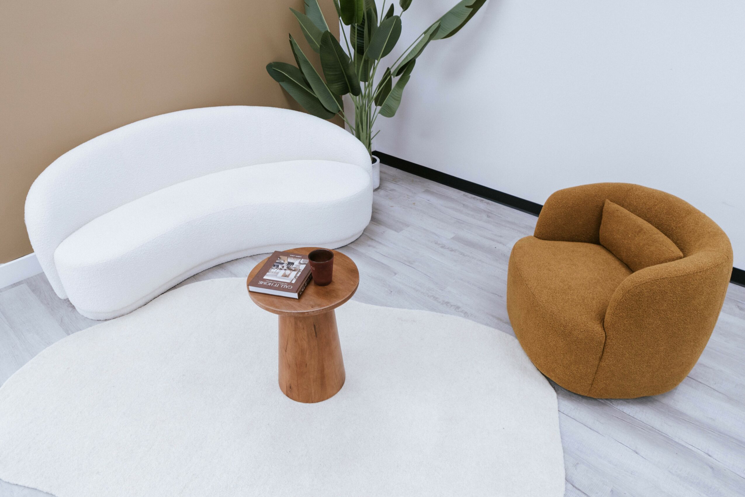 White curved sofa, brown armchair, small round wooden table, white rug, green plant in corner, light-colored floor and wall.