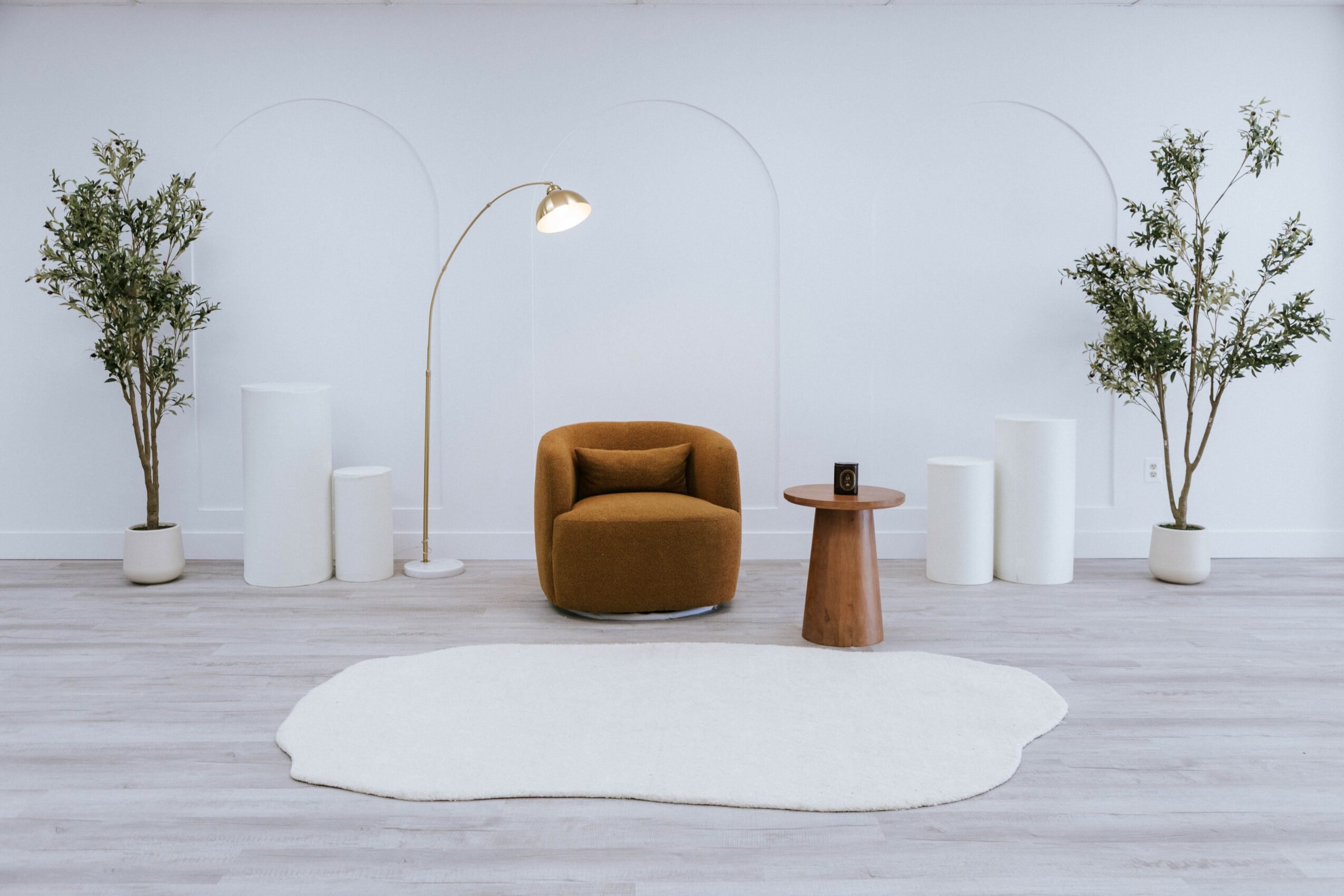 Minimalist room with two potted trees, a brown armchair, a small wooden table, and a white rug on light wood floor.