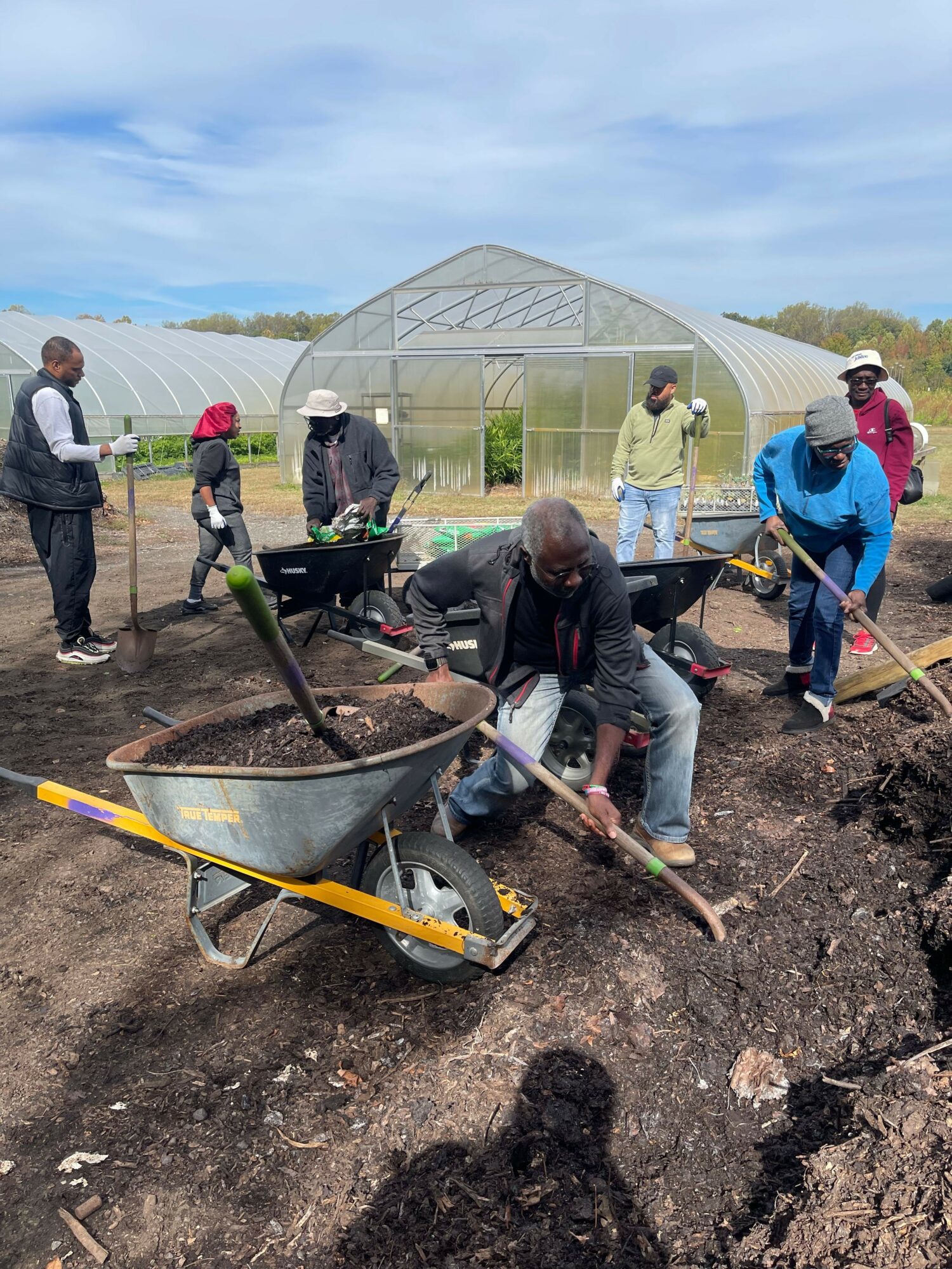 Group of people working in a garden with wheelbarrows and shovels near greenhouses under a blue sky.