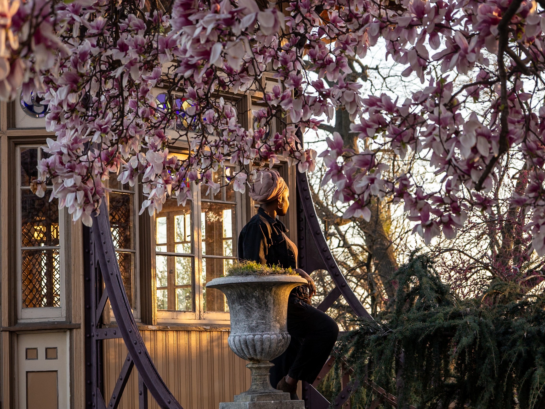 Person sitting on a ledge near a window with pink flowering tree branches overhead.