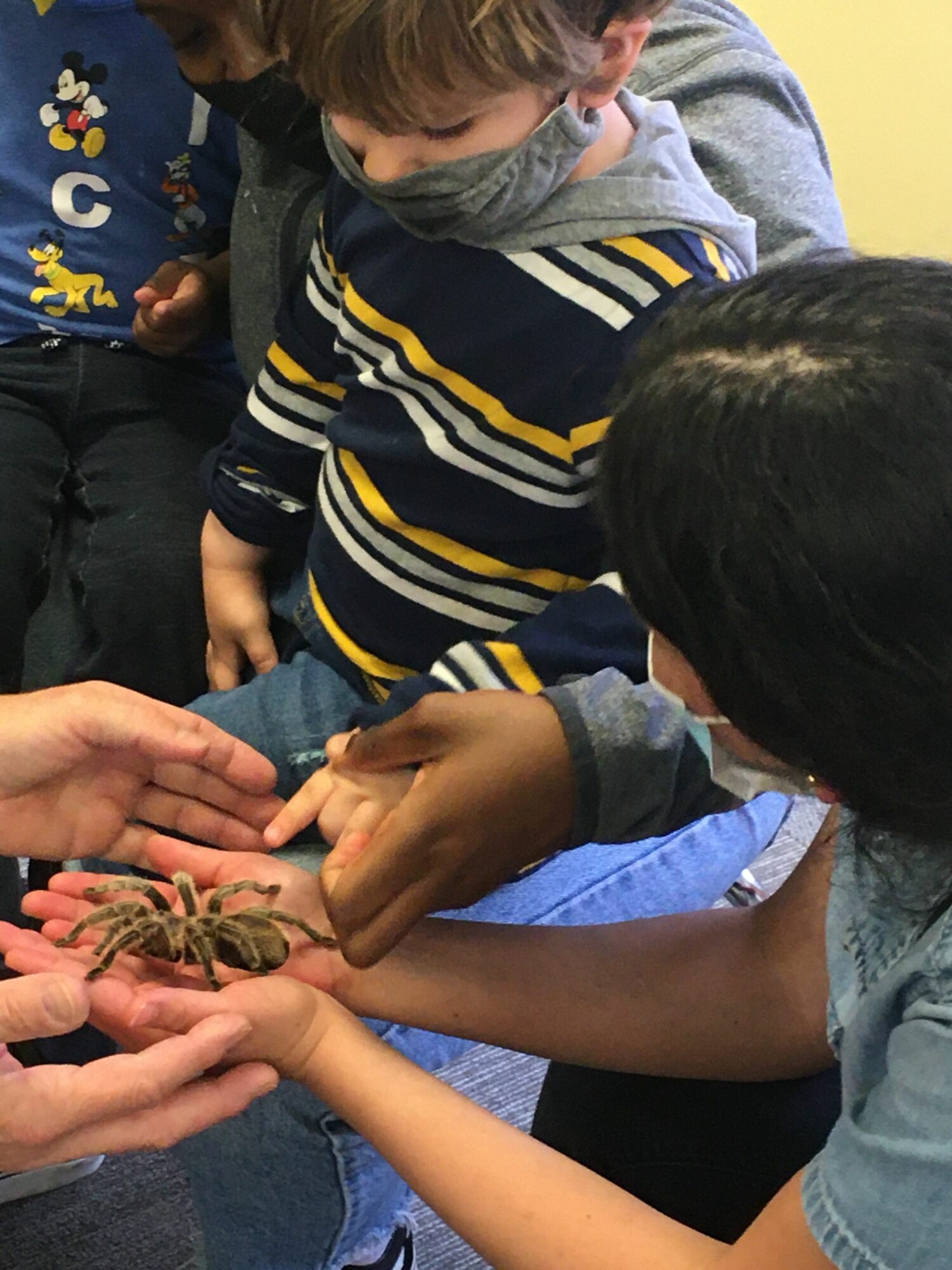 Children and adults examining a small animal, possibly a crab, in a group setting.