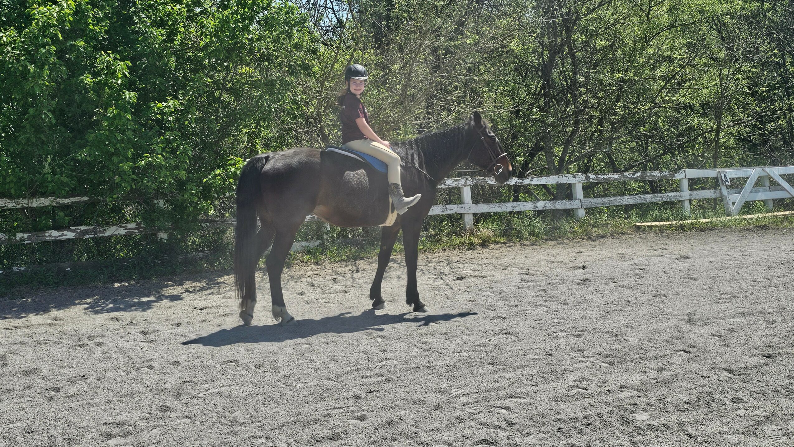 Person riding a horse in an outdoor riding arena with trees and a white fence in the background.