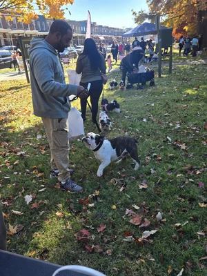 Man holding a leash with a black and white dog in a park with autumn leaves and people in the background.