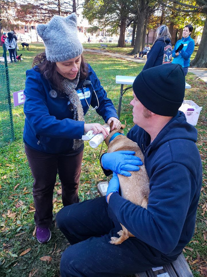 A woman in a gray hat and blue jacket hands a small animal to a man in a black beanie and gloves outdoors.