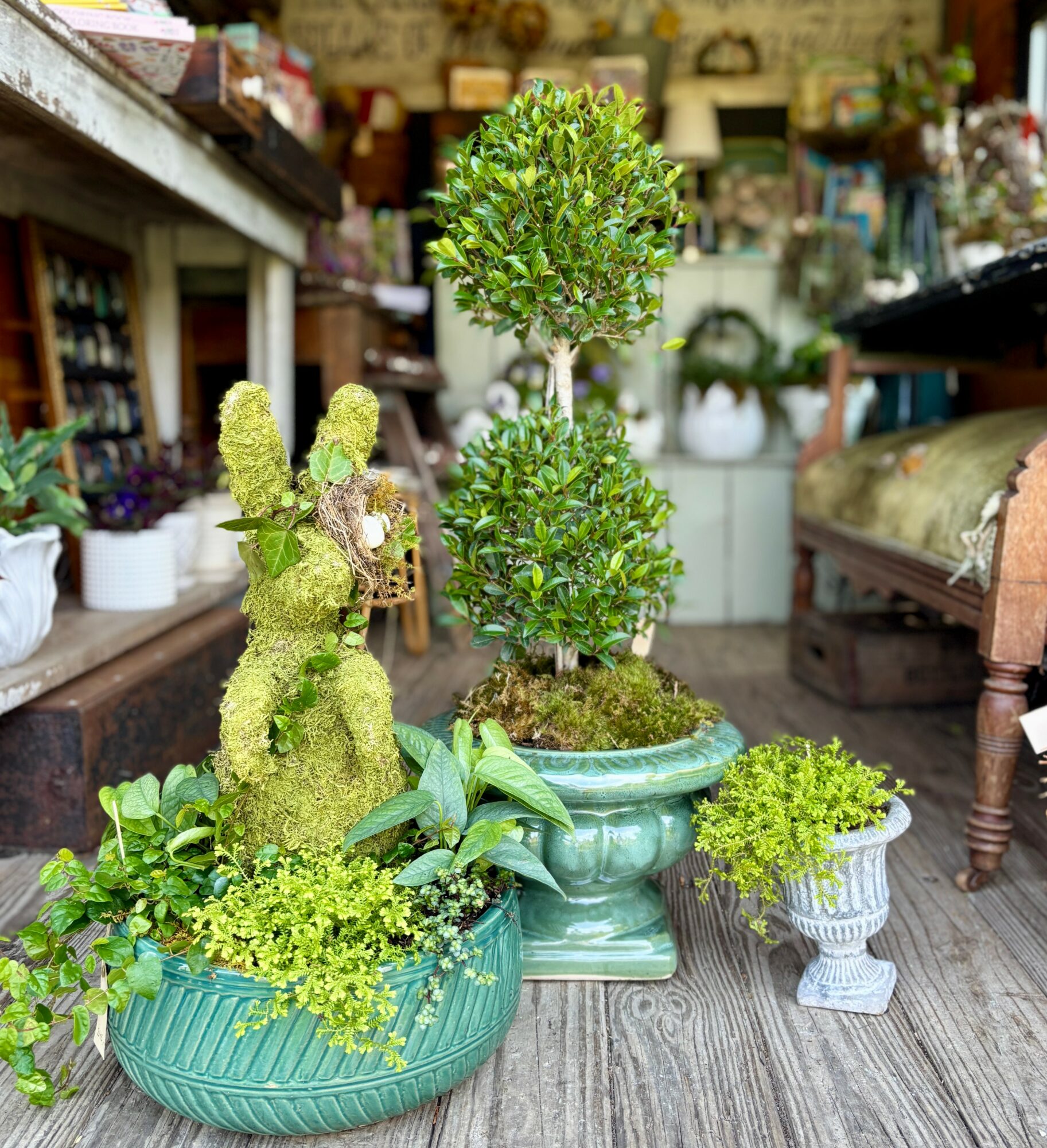Two potted topiary plants and a moss-covered rabbit sculpture in a store interior.