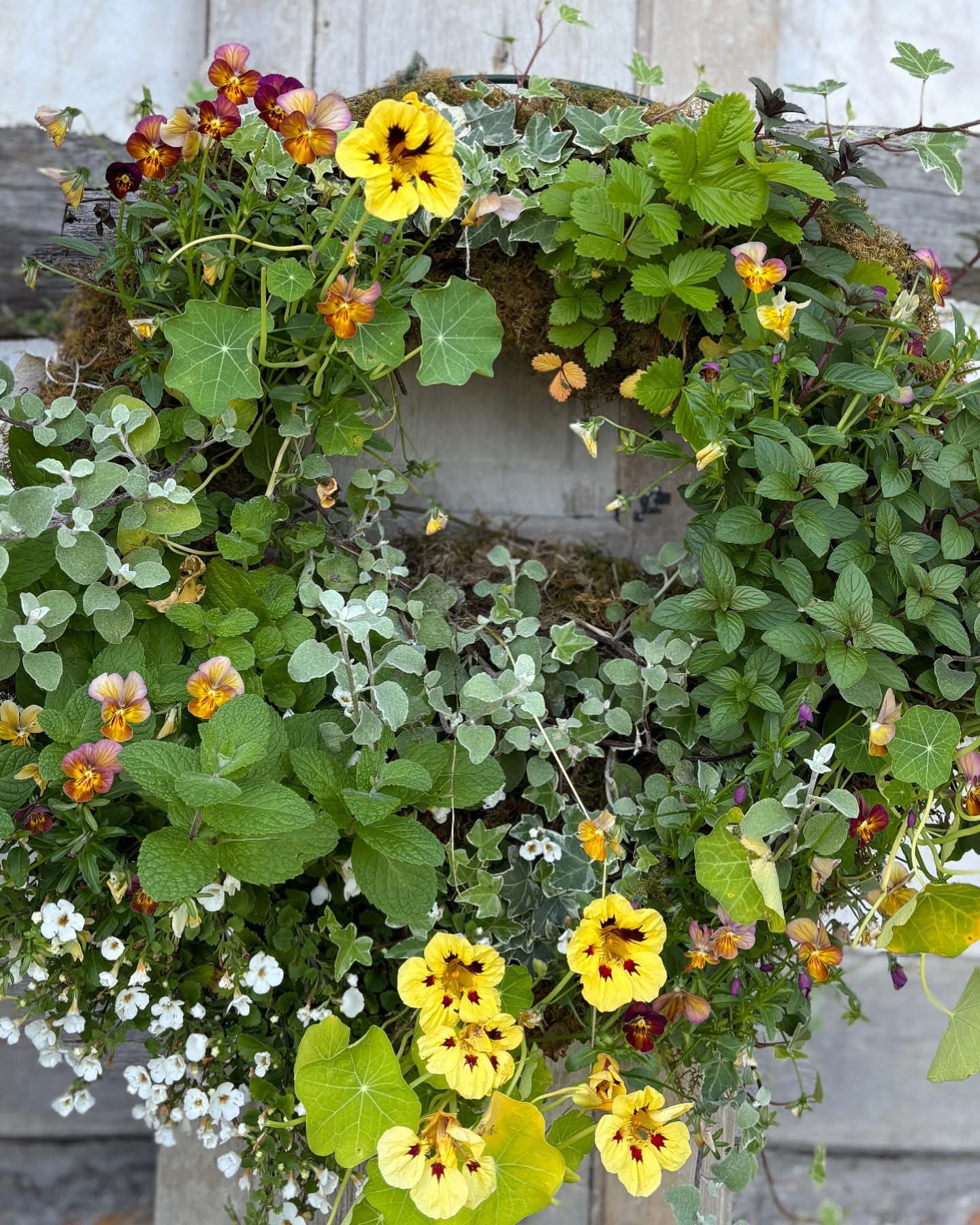 Flower wreath with yellow, orange, and white flowers and green leaves hanging on a gray wooden surface.