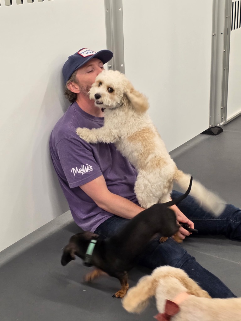 Person sitting on the floor with three puppies, one on their lap, one near their feet, and one in their arms, in a room with white walls and gray flooring.