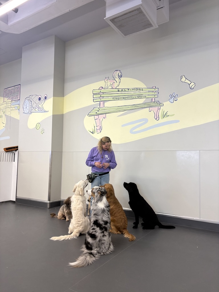 Person with four dogs standing in front of a wall with a colorful mural of animals and a park bench, indoors.