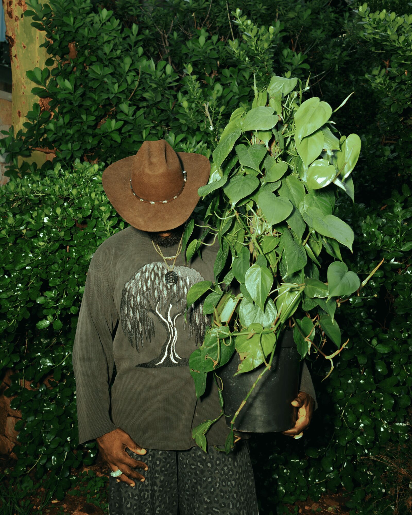 Person wearing a brown hat and gray sweater, holding a large leafy plant, standing in front of green bushes.