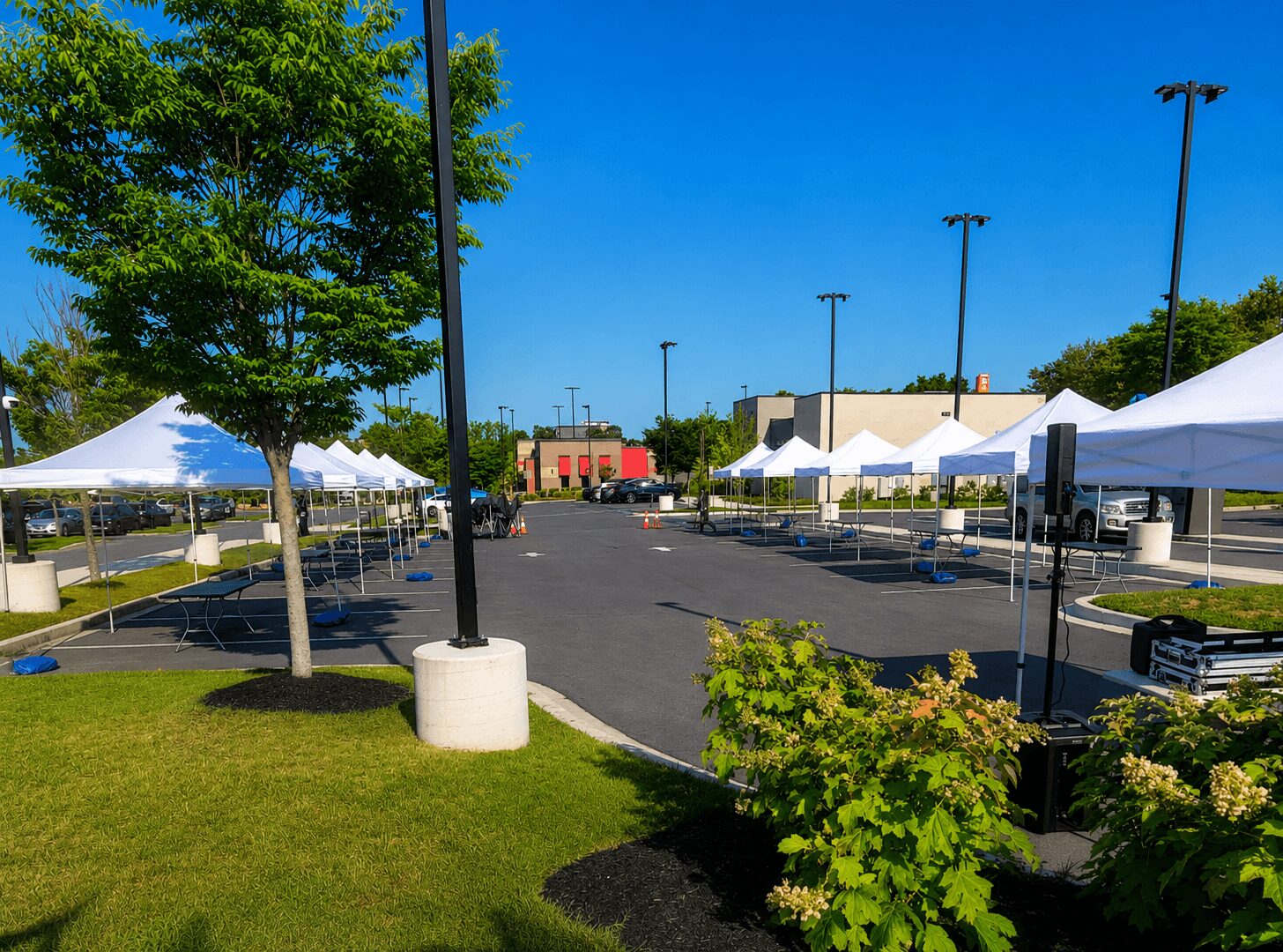Empty outdoor market area with tents, trees, and parking lot under a clear blue sky.