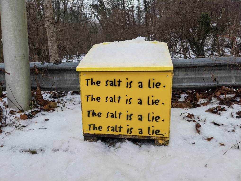 Yellow box with black text reading, 'The salt is a lie,' placed outdoors on snow, near a metal guardrail and trees.