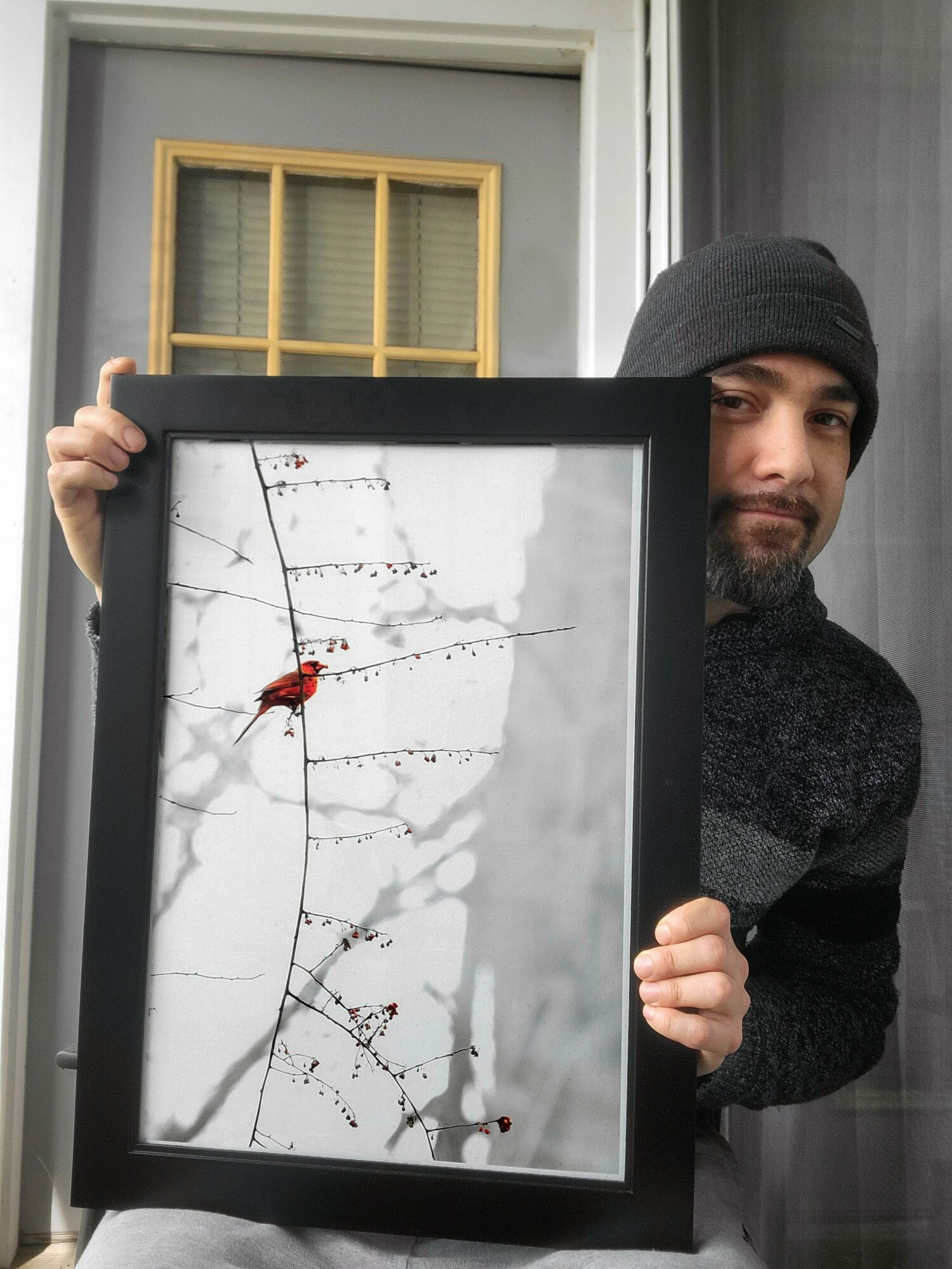 Person holding a framed picture of a spider on a branch, standing near a window, wearing a black beanie and scarf.
