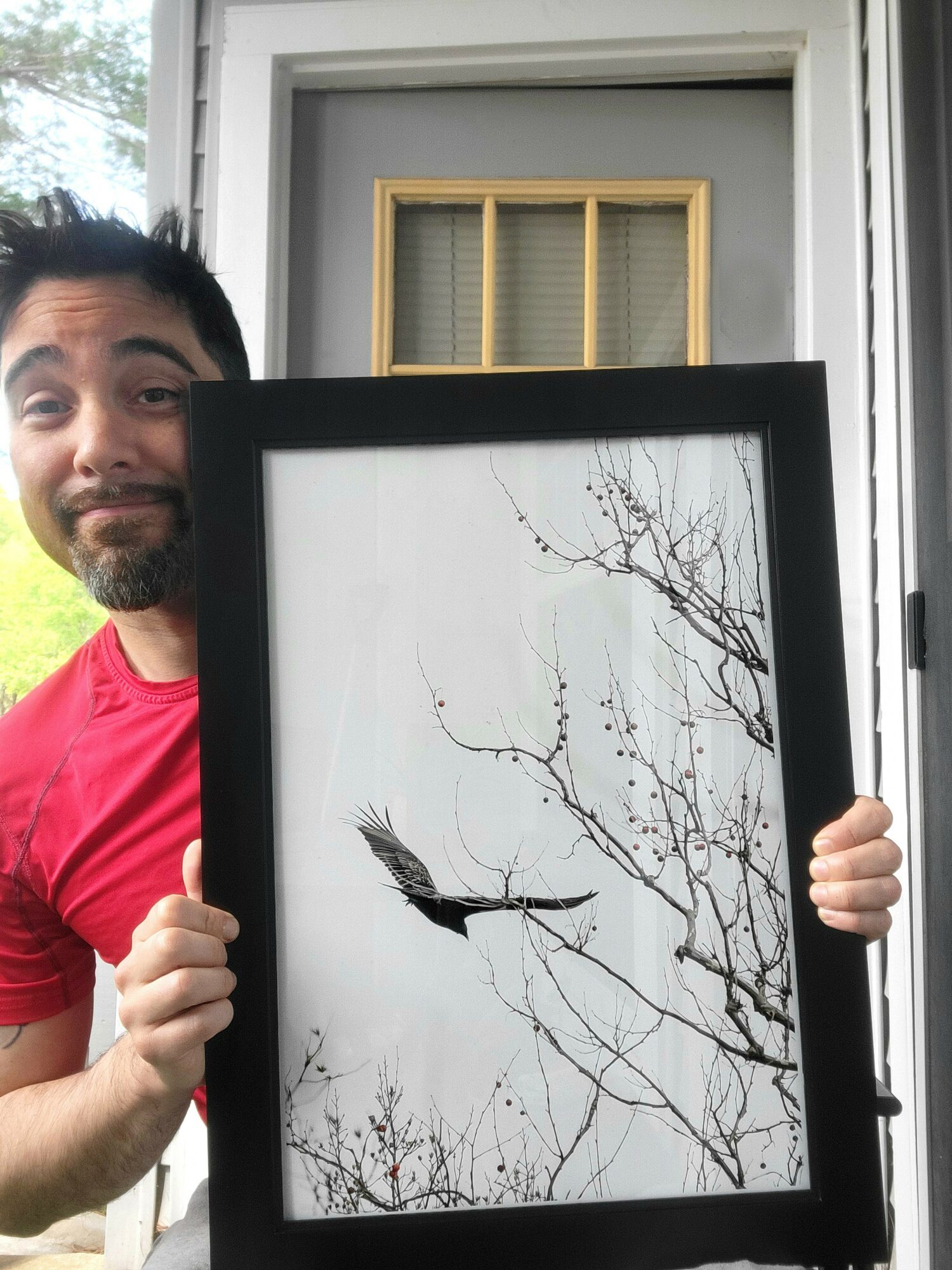 Person holding a framed picture of a bird flying near leafless tree branches outside.