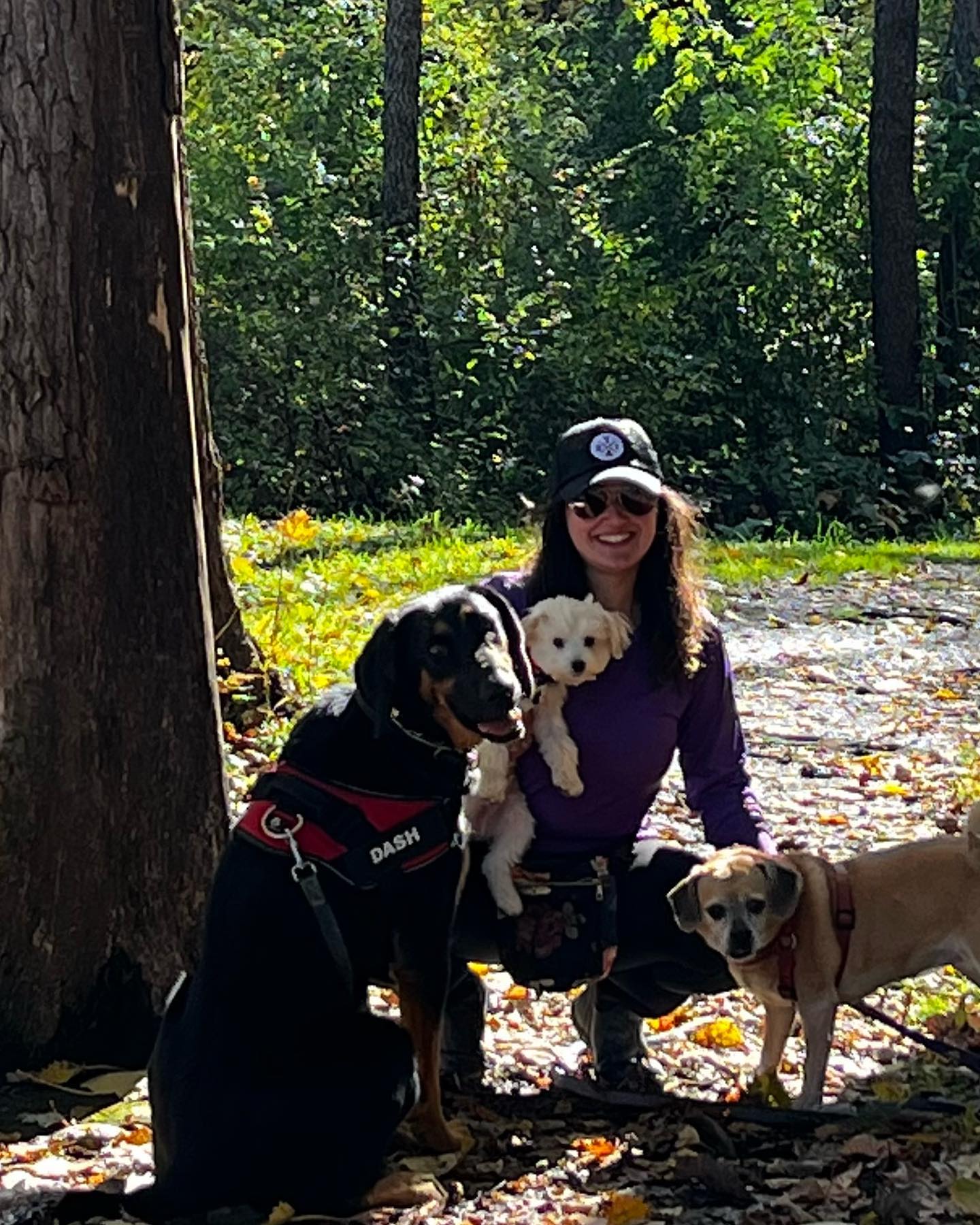 Person with three dogs in a forest, one holding a teddy bear, all smiling, sunlight filtering through trees.