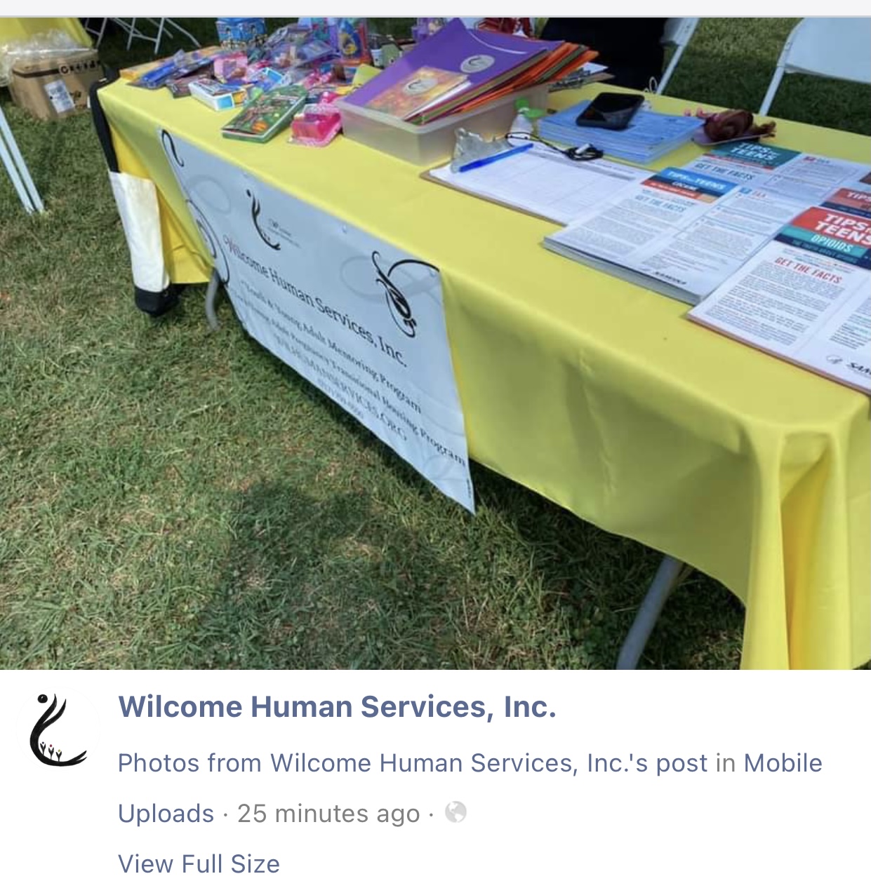Table with yellow tablecloth displaying brochures, papers, and small items outdoors on grass.