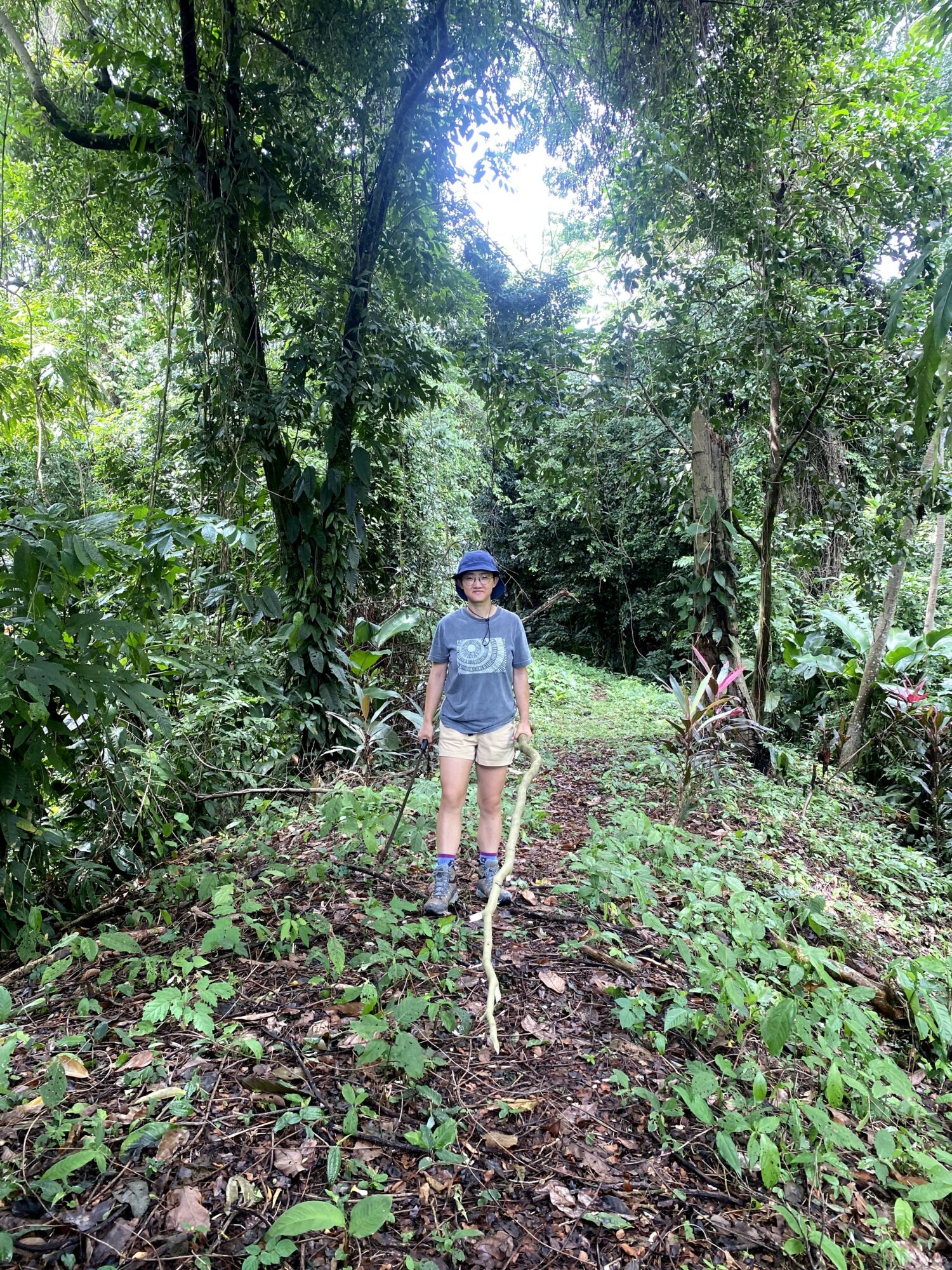 Person standing on a forest trail holding a stick, surrounded by green trees and plants.