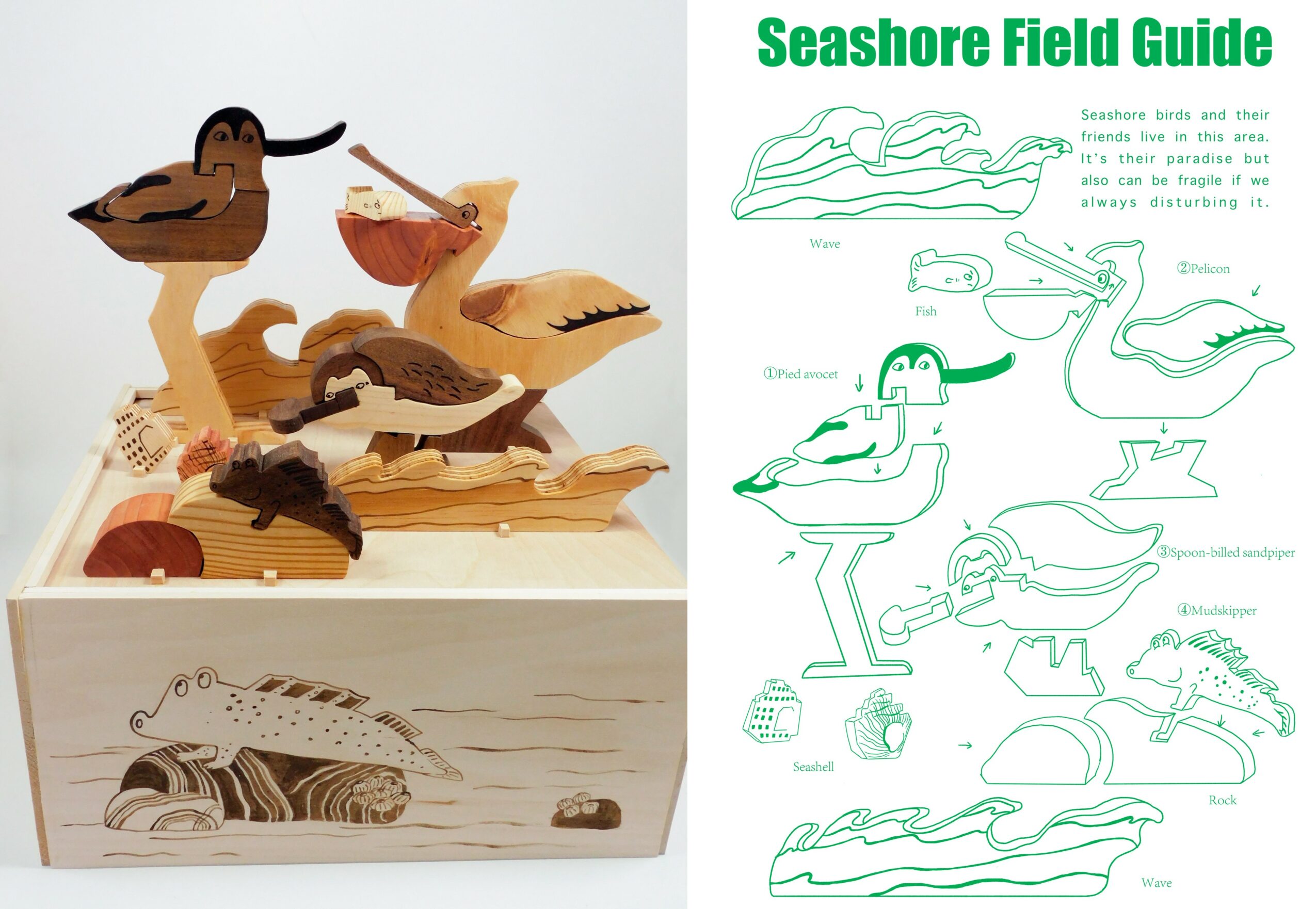 Wooden duck and bird figurines with a seashore field guide illustration on the right, showing various sea creatures and landscape. Word count: 20