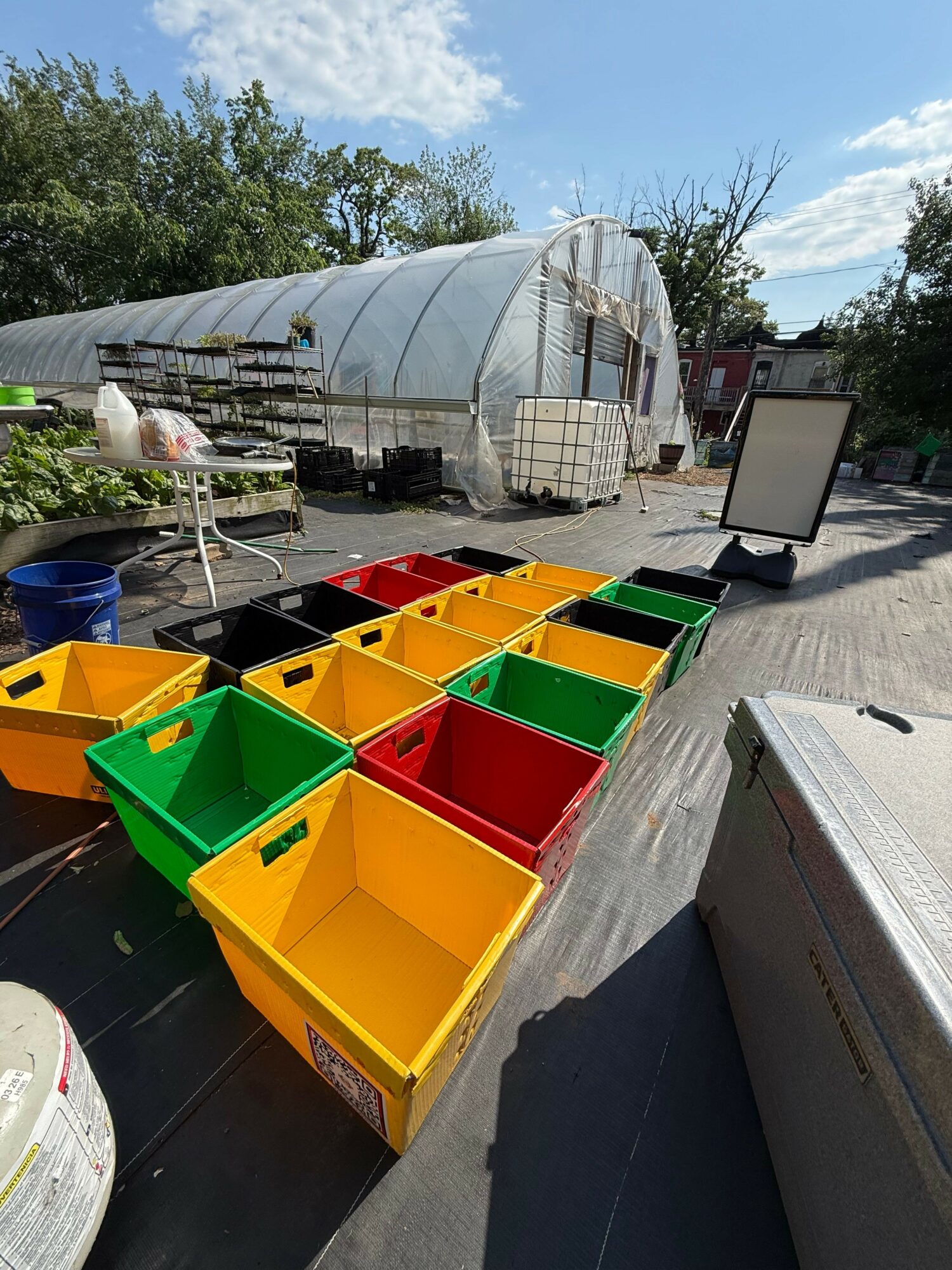 Colorful plastic bins arranged on a sidewalk near a building, with a greenhouse and trees in the background.