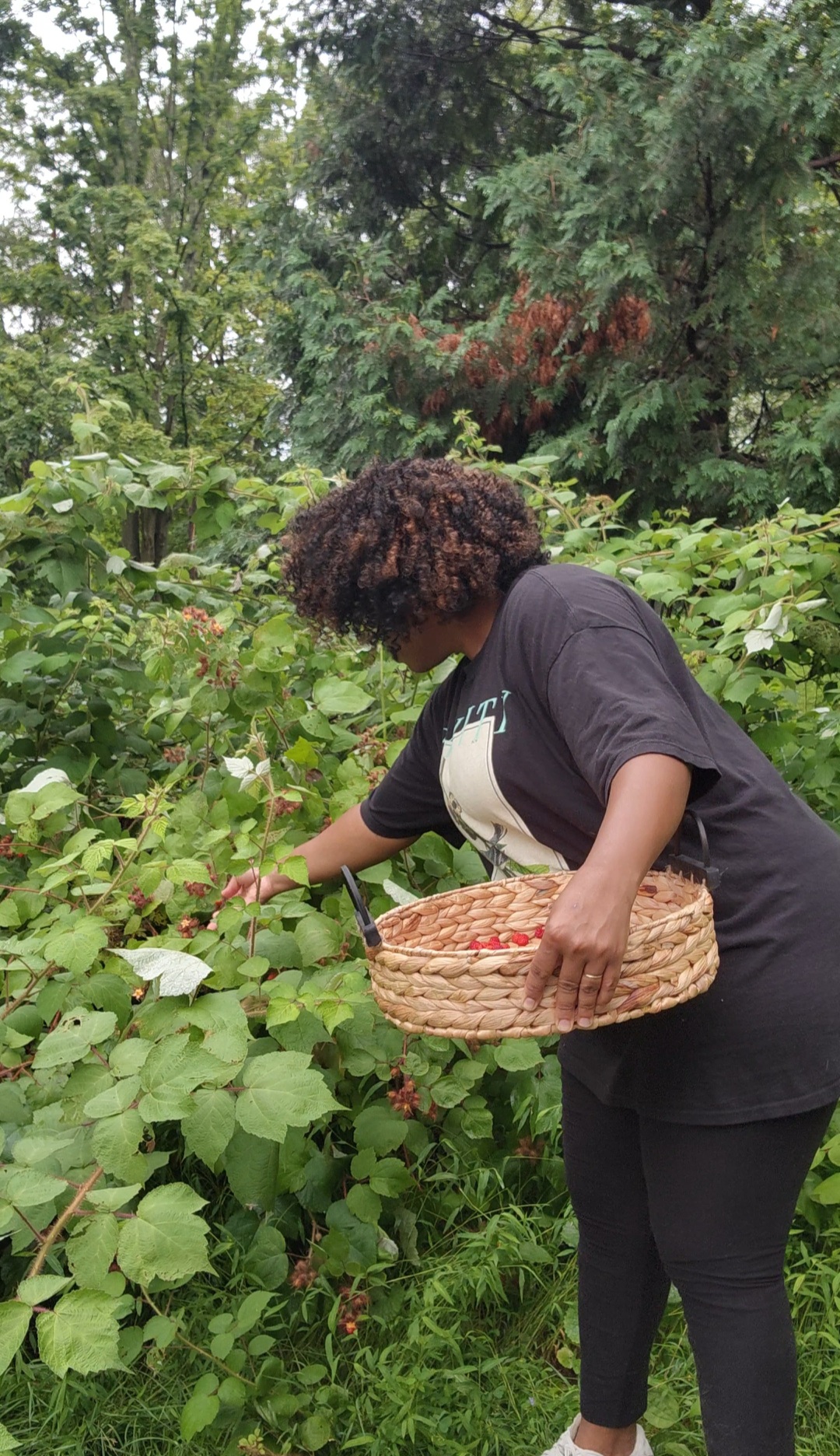Person with curly hair picking plants in a garden, holding a woven basket, surrounded by green foliage.