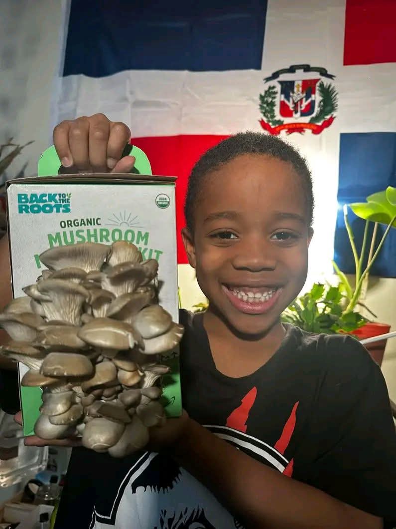 Child smiling and holding a box of organic mushroom kit in front of a flag with red, white, and blue colors and a crest.