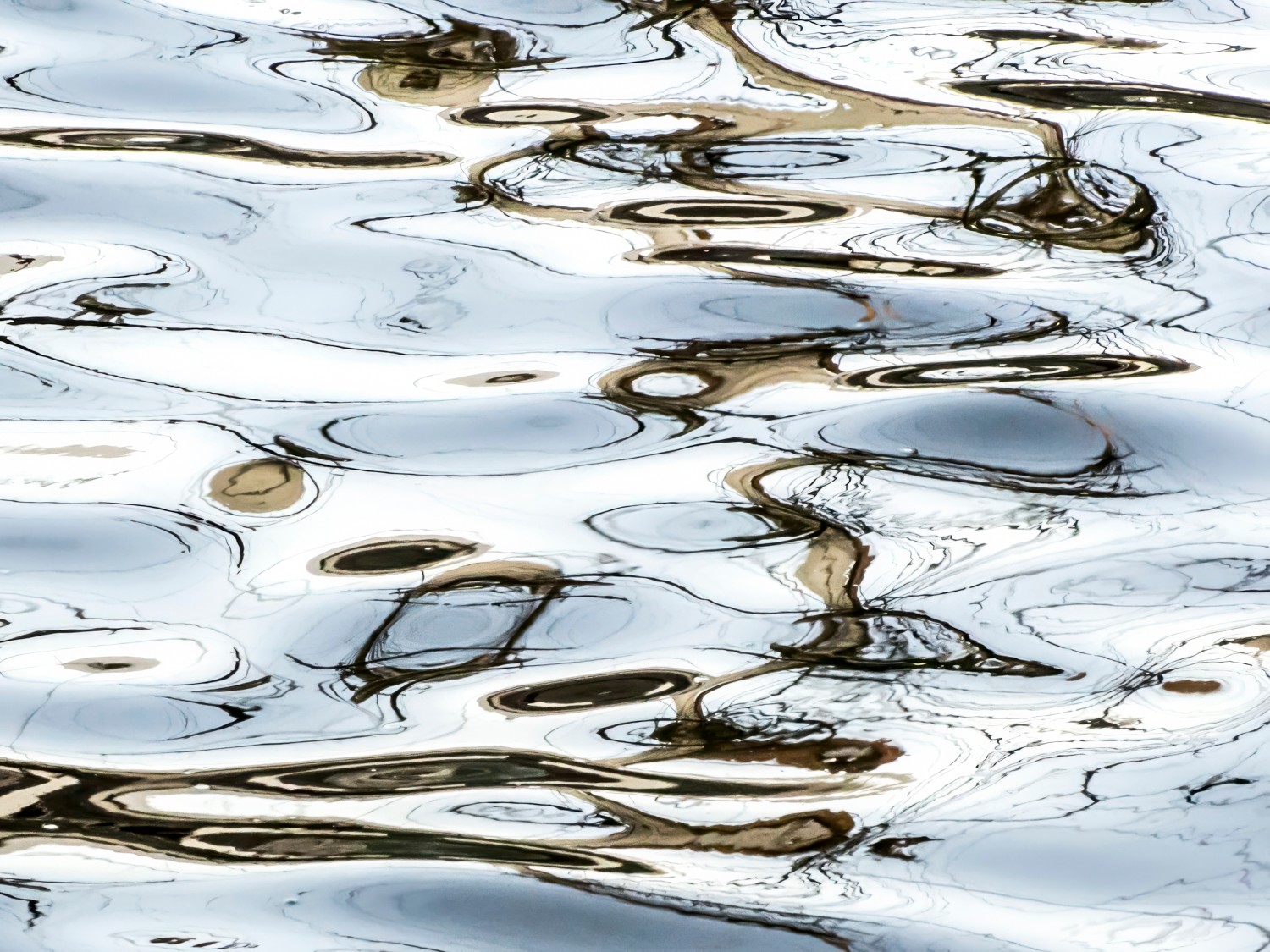 Reflections of trees and sky on water surface with ripples, abstract pattern, light and dark shades, no people or animals visible.