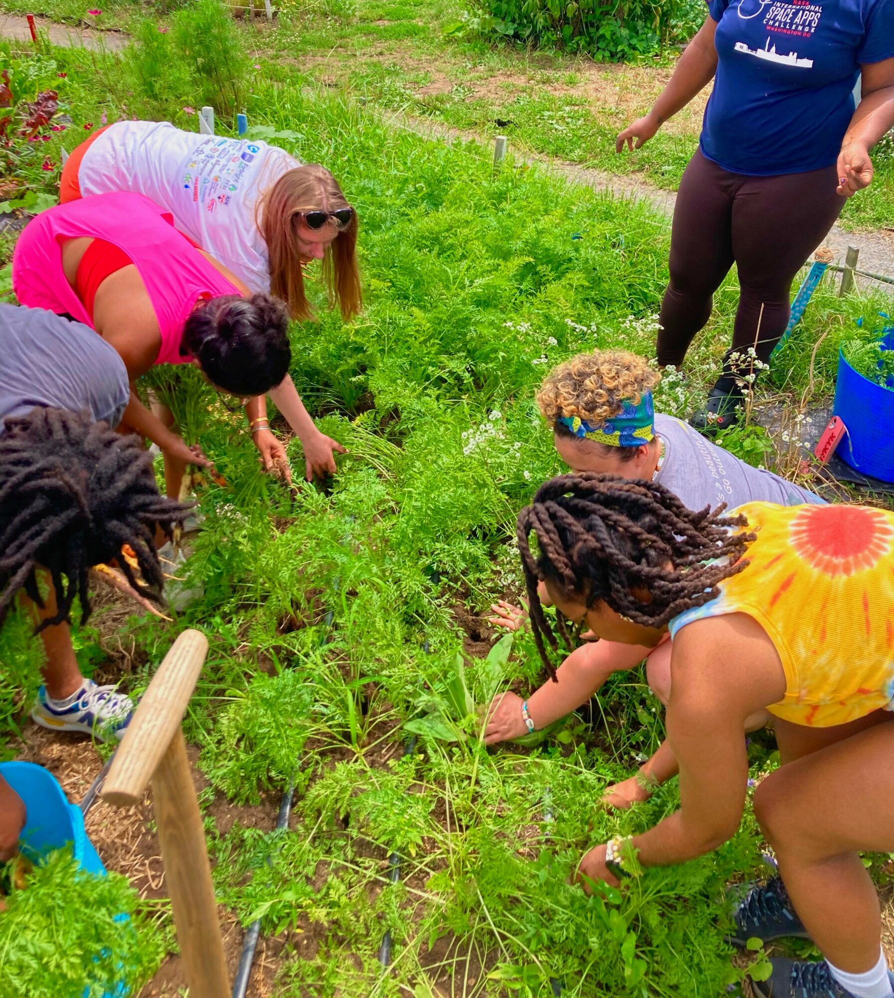 Group of children and adults gardening outdoors, planting and tending to green plants in a lush garden.