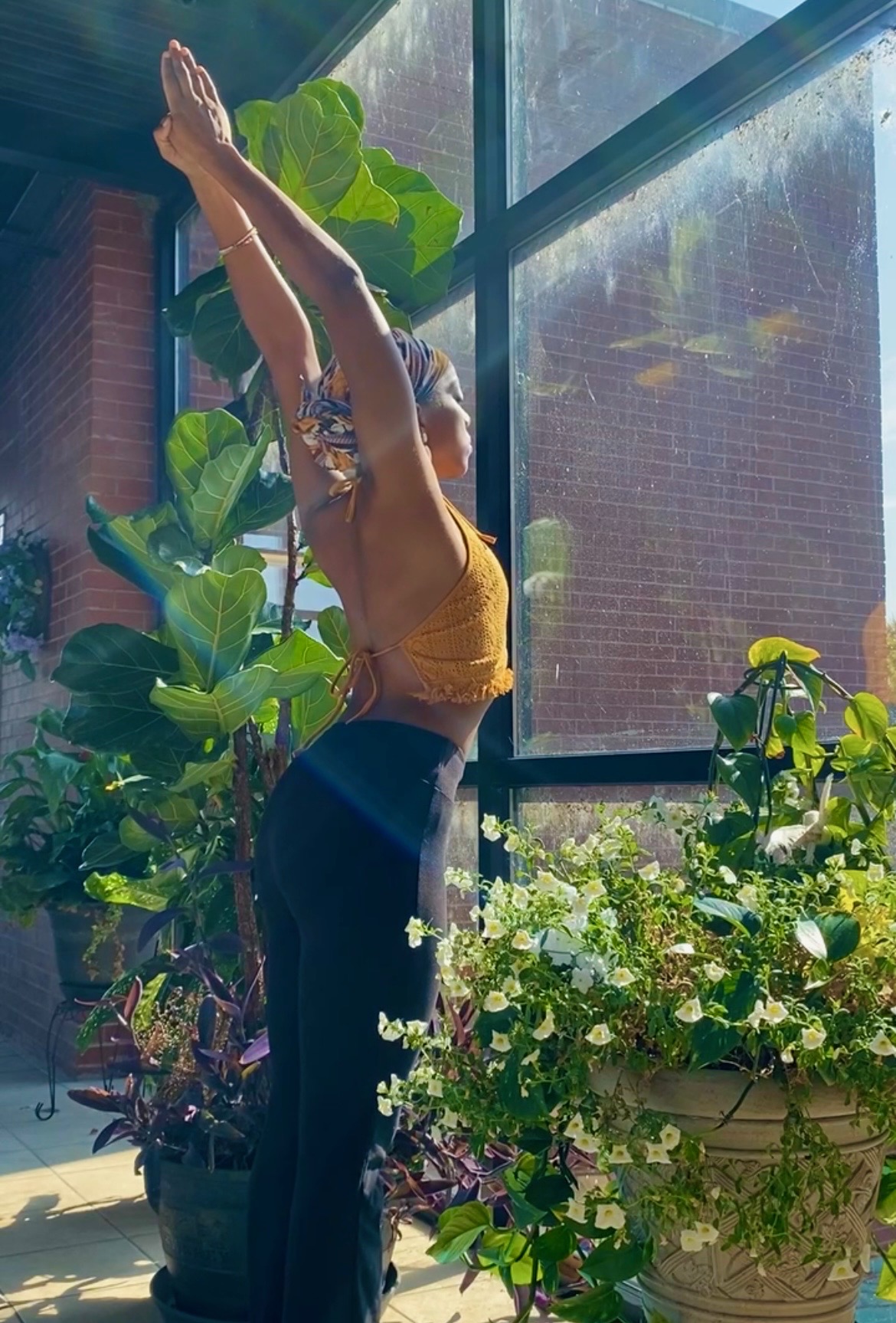 Person in yellow top and dark pants stretching with arms raised, surrounded by green plants near a window.