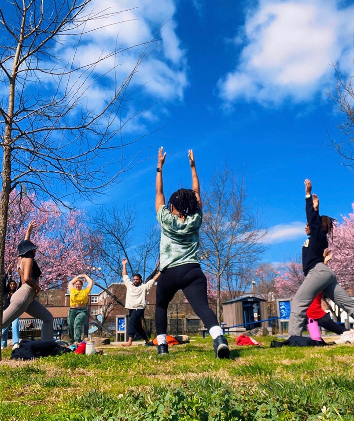 Group of people practicing yoga outdoors on grass with trees and blue sky in background.