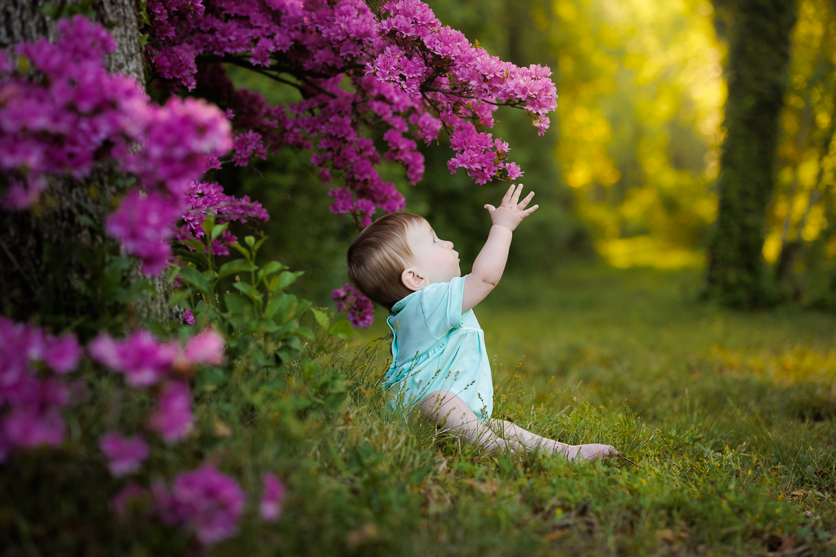 Child sitting on grass reaching toward pink flowering bush outdoors, surrounded by trees and sunlight, in a park or garden.