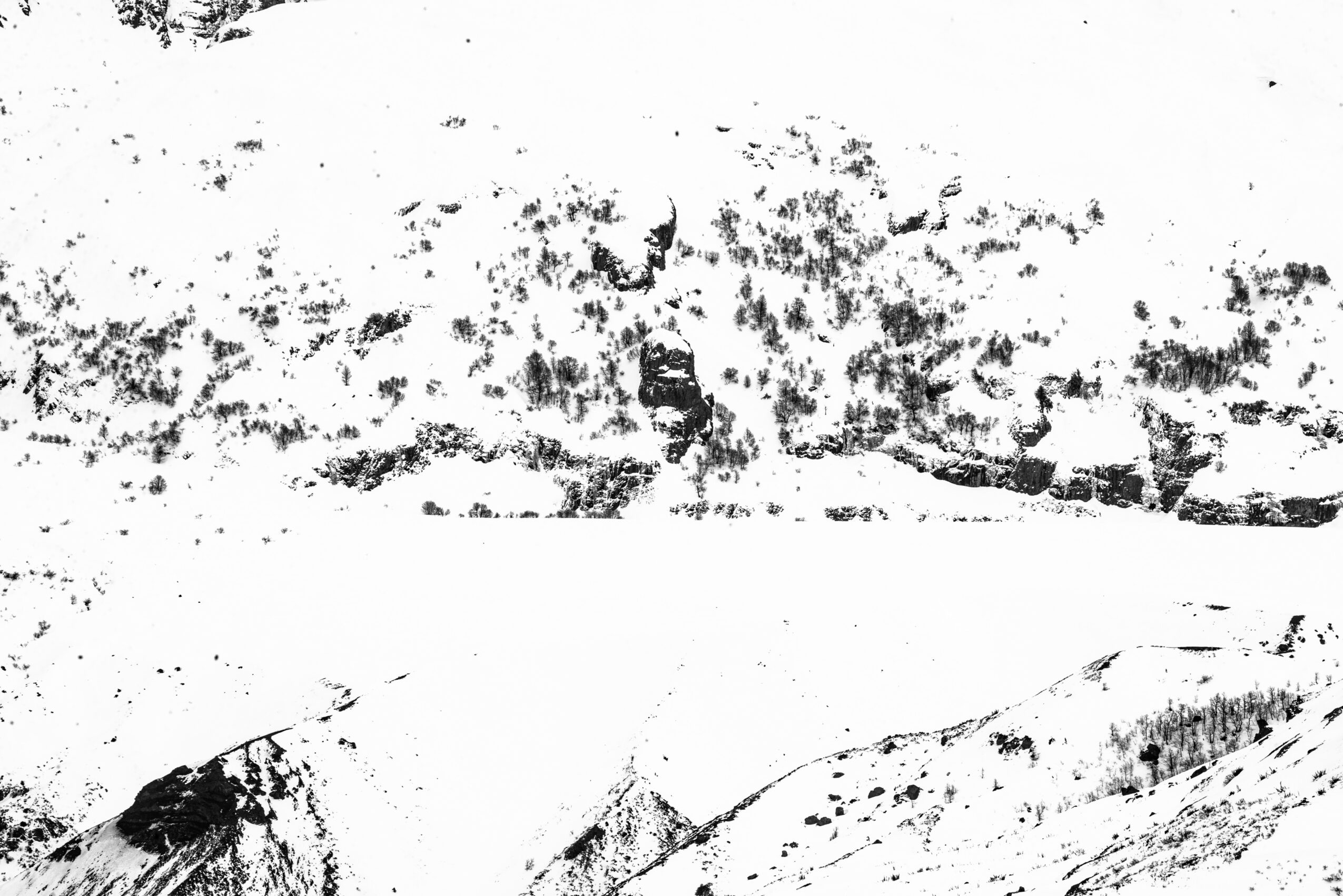 Snow-covered landscape with trees and hills, black and white, high contrast.
