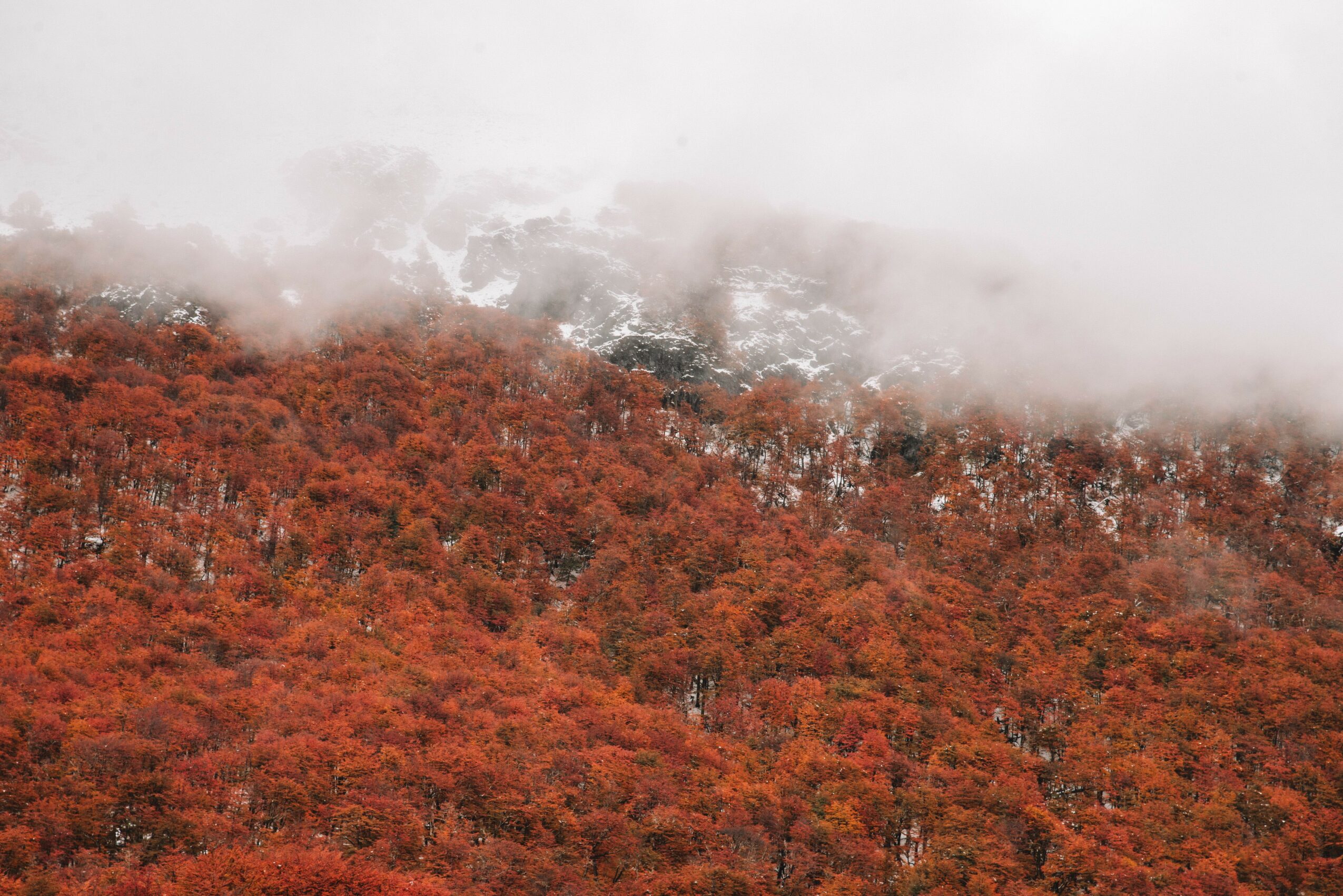 Mountain covered with red and orange trees, partially obscured by clouds or fog, with a cloudy sky above.