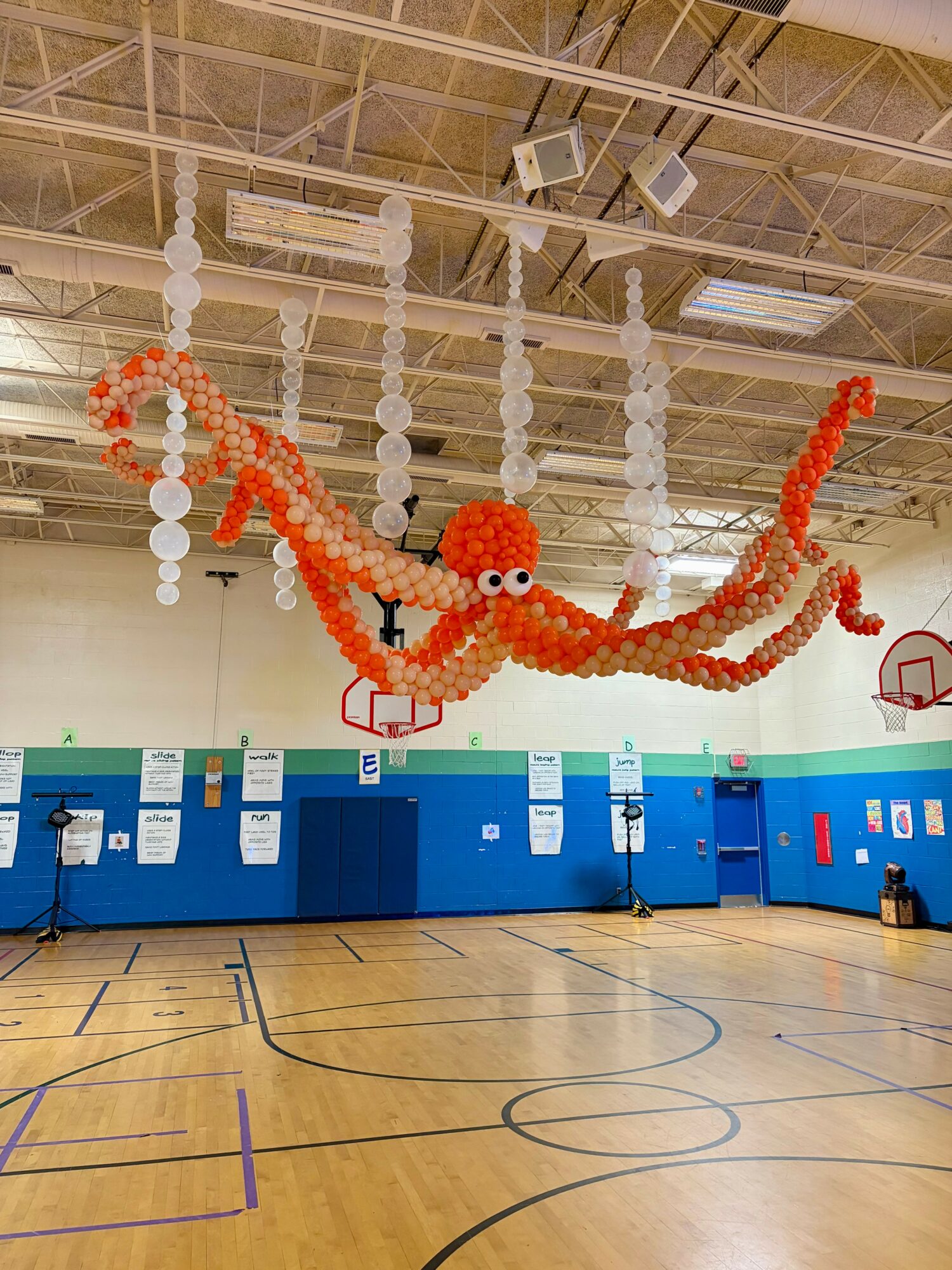 Colorful balloon octopus sculpture hanging from gym ceiling in a school gymnasium, with blue walls and basketball hoops visible.