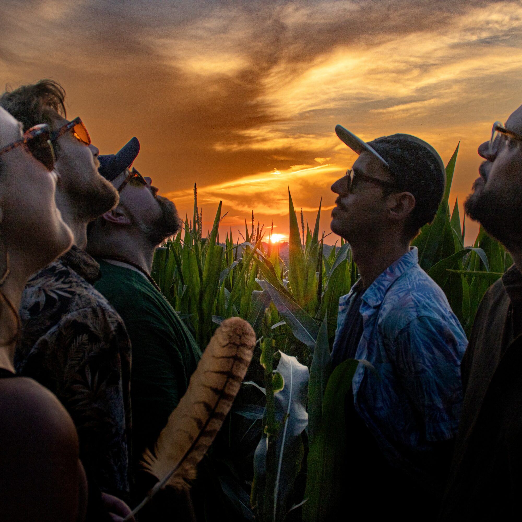 Group of people outdoors during sunset, standing among tall green plants, facing each other with a bright sky in the background.