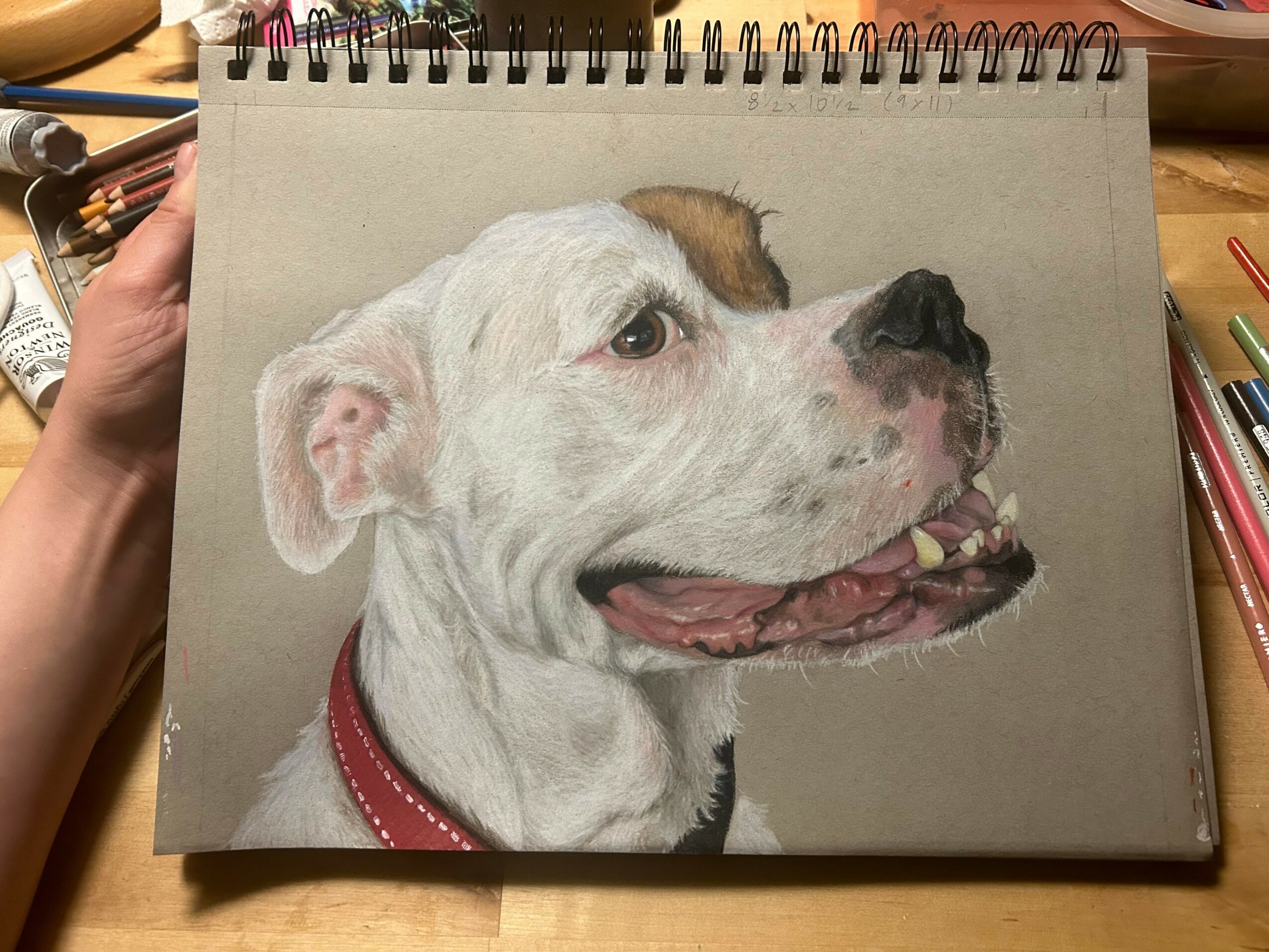 Drawing of a dog with a white coat, brown patch on head, wearing a red collar, smiling with open mouth.