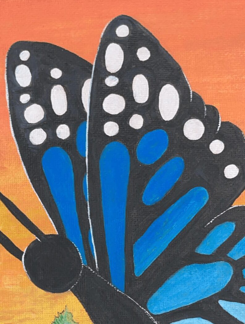 Close-up of a butterfly with black, white, and blue wings against an orange background.