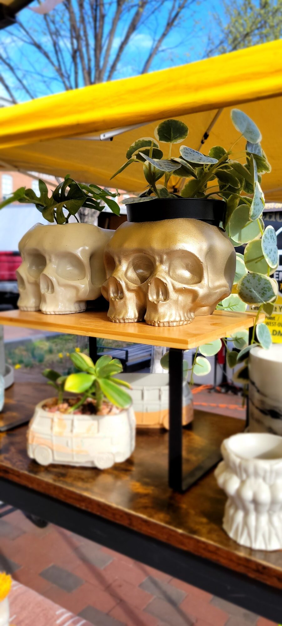 Decorative skull-shaped planters with green plants on a wooden shelf outdoors, with trees and sky in background.