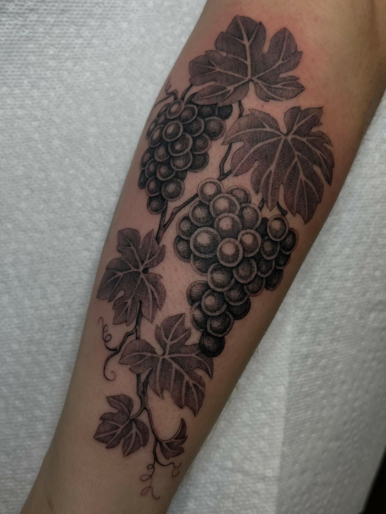 Black and gray tattoo of grape clusters with leaves on forearm, detailed shading and realistic style.