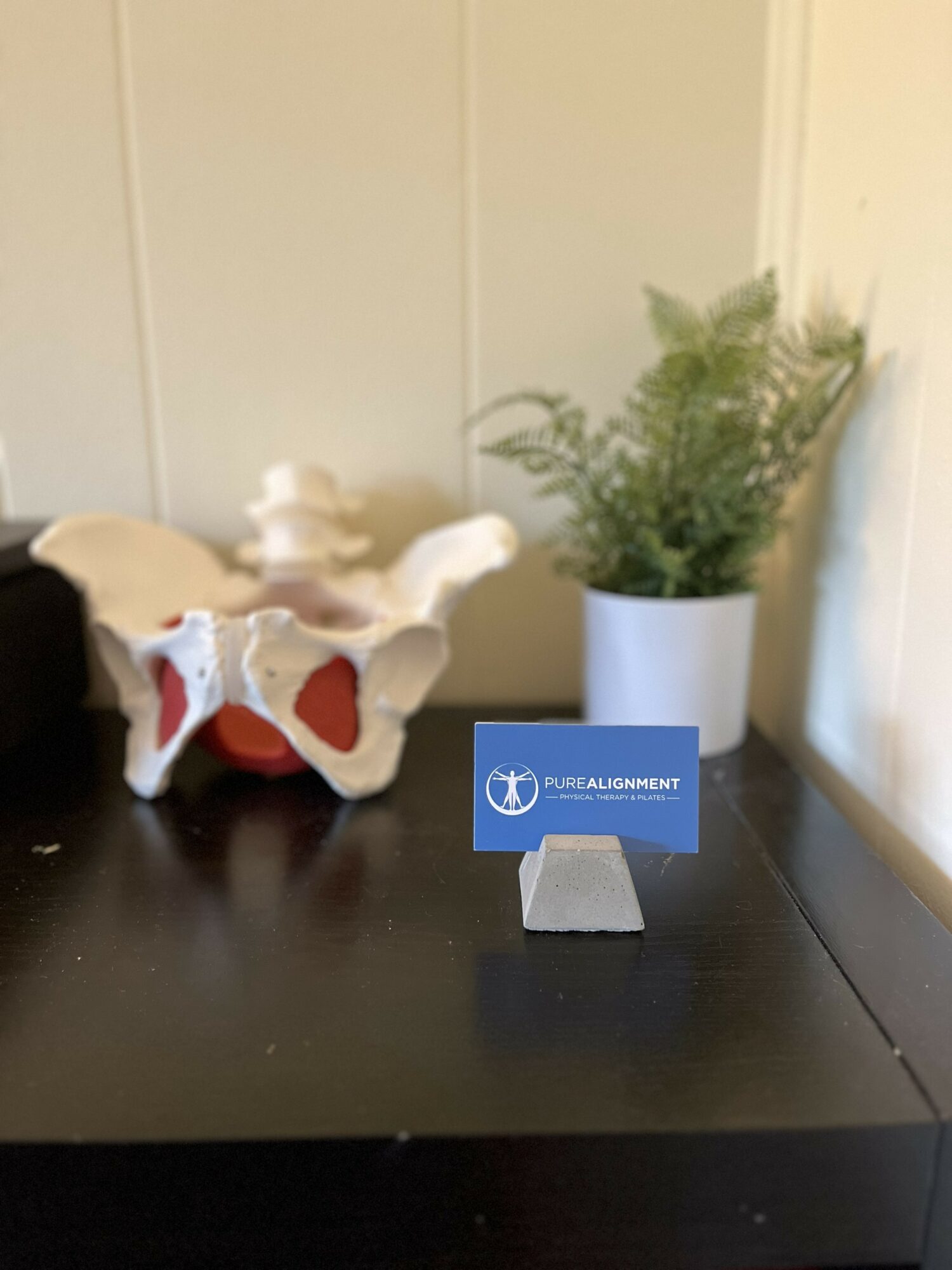 A potted plant with green leaves in a white pot, a small decorative object, and a blue card on a black surface.