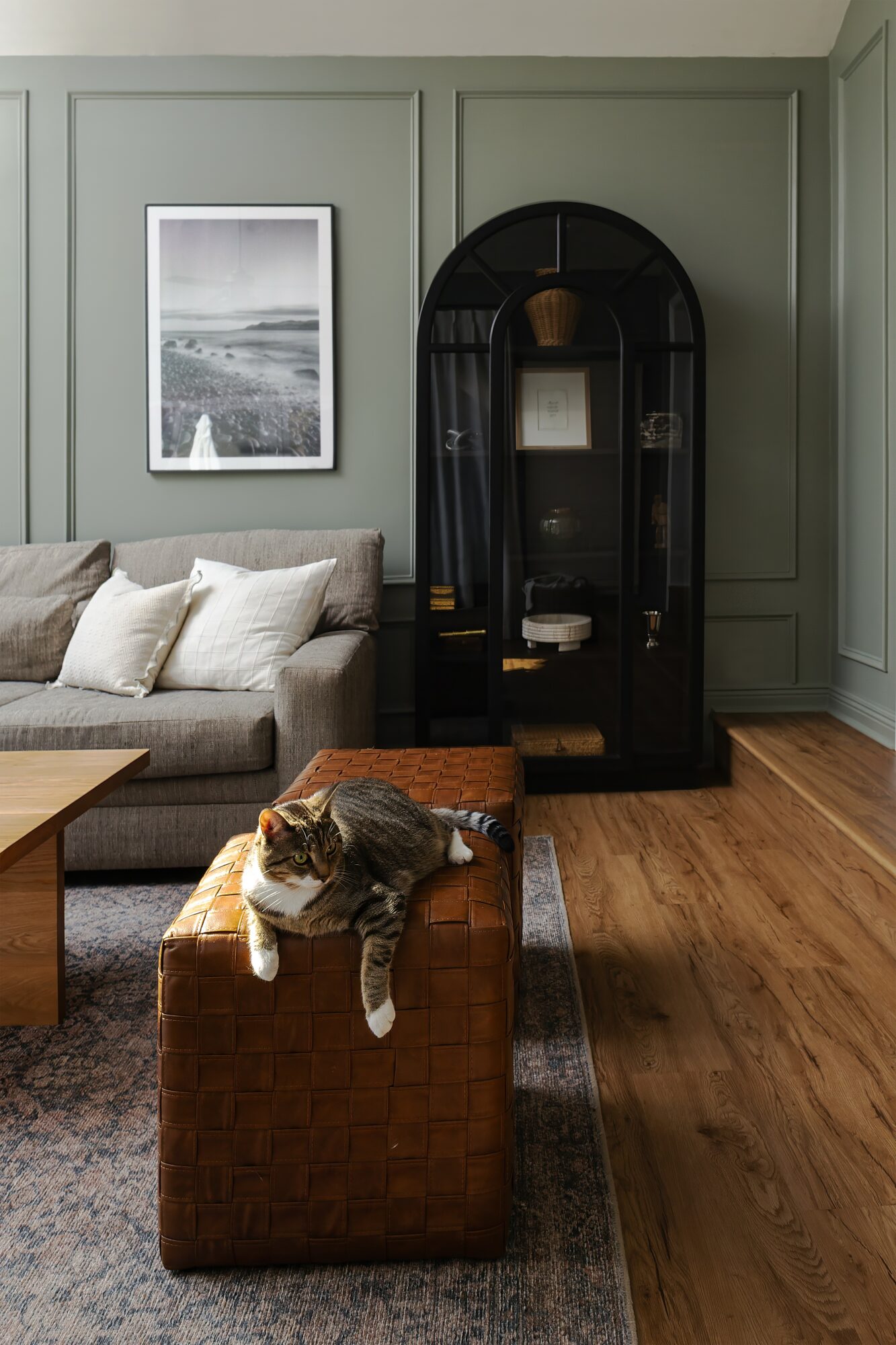 Living room with green paneled walls, a black arched cabinet, a framed black and white photo, a sofa, and a cat on a brown ottoman.
