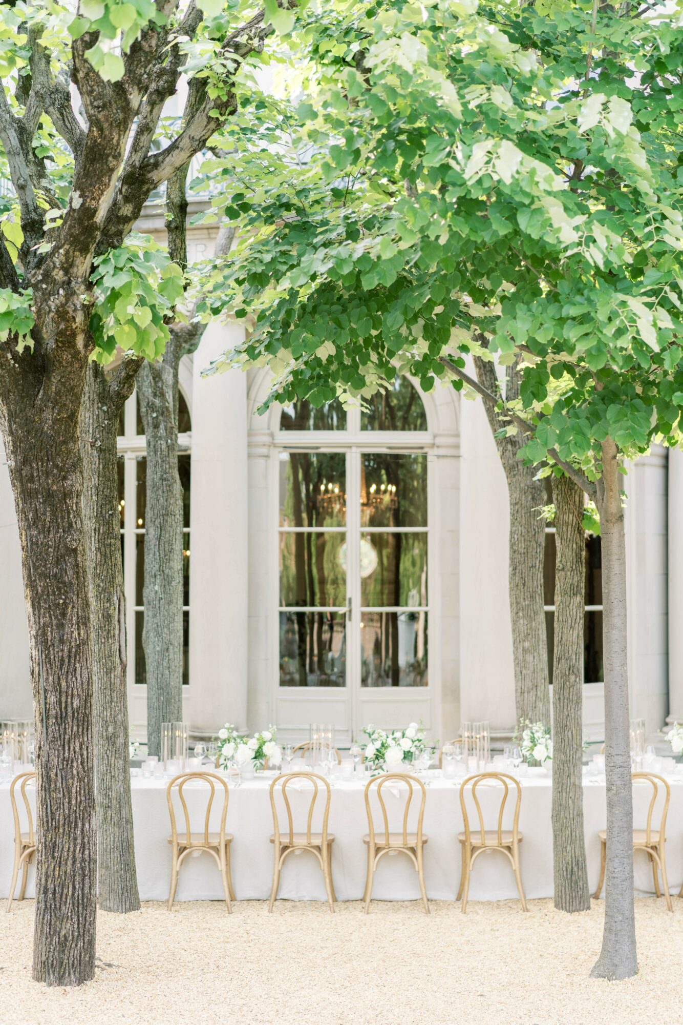 Outdoor scene with trees, a window, and a row of chairs, possibly a cafe or garden setting.