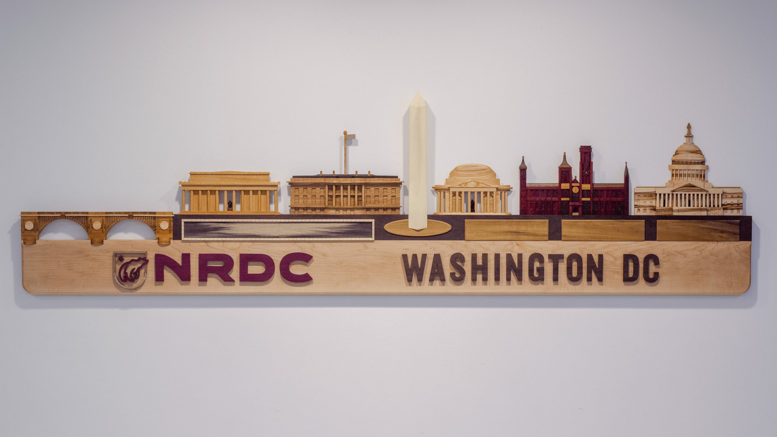 Wooden skyline of Washington DC with notable buildings and landmarks, including the Capitol and Washington Monument, with 'NRDC' and 'WASHINGTON DC' text.