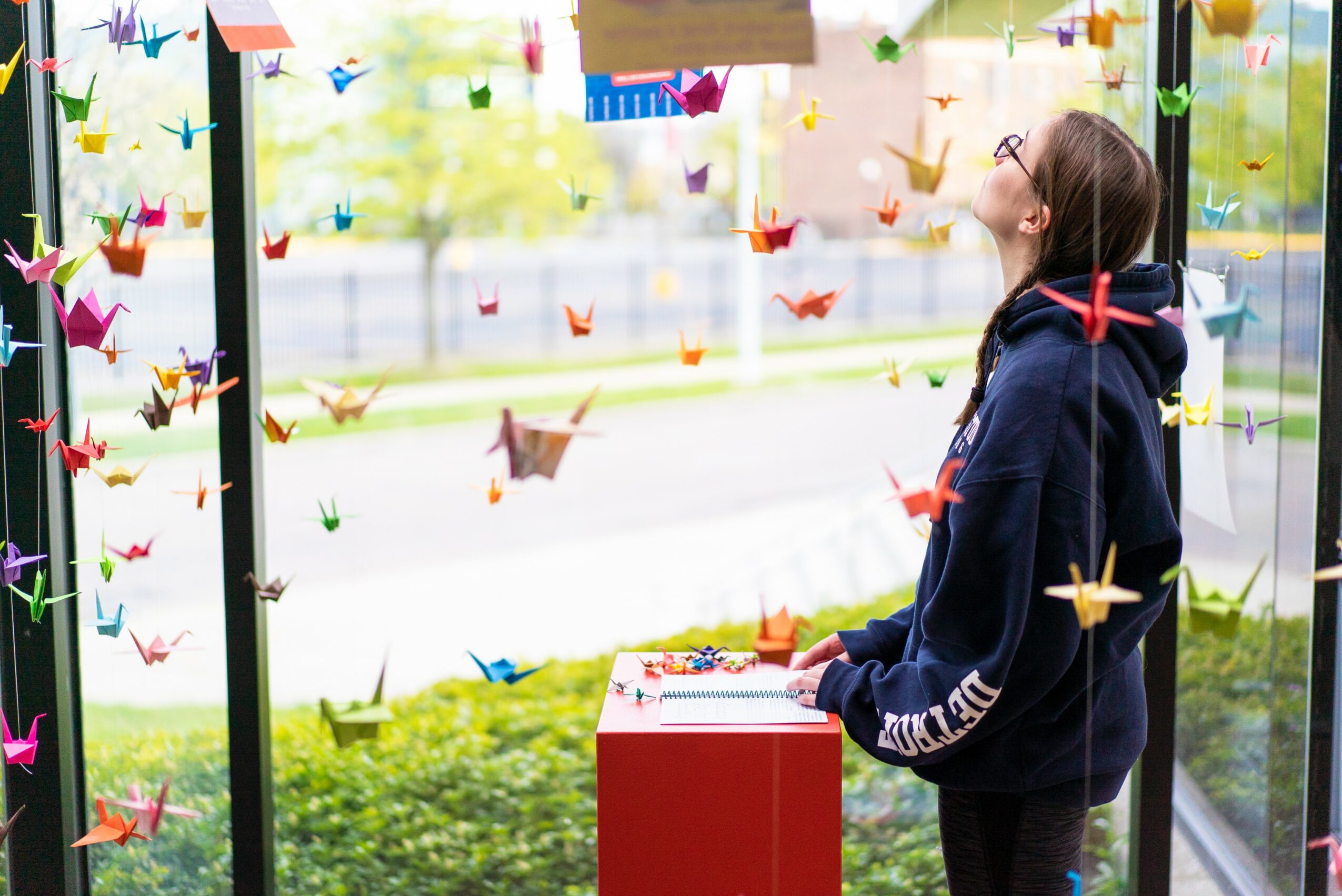 Girl looking at colorful paper cranes hanging in a glass display, outdoors with greenery and a road in the background.