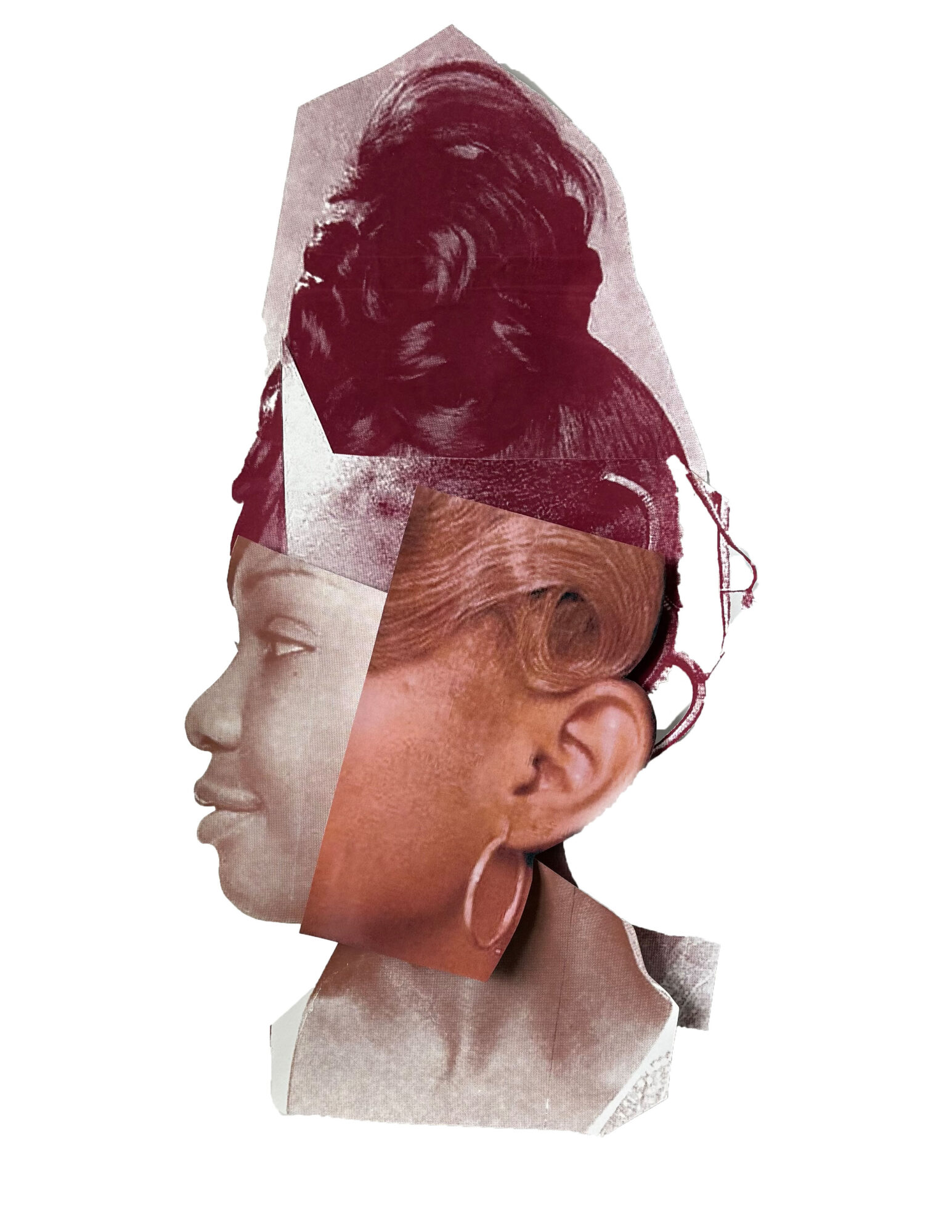 Collage of a woman's profile with layered images of hair and face, creating a surreal effect.