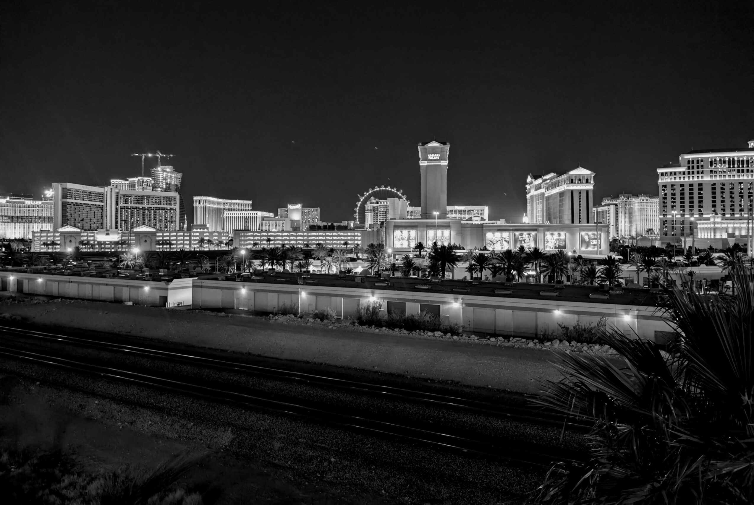 Night city skyline with illuminated buildings and a train in foreground, black and white image.