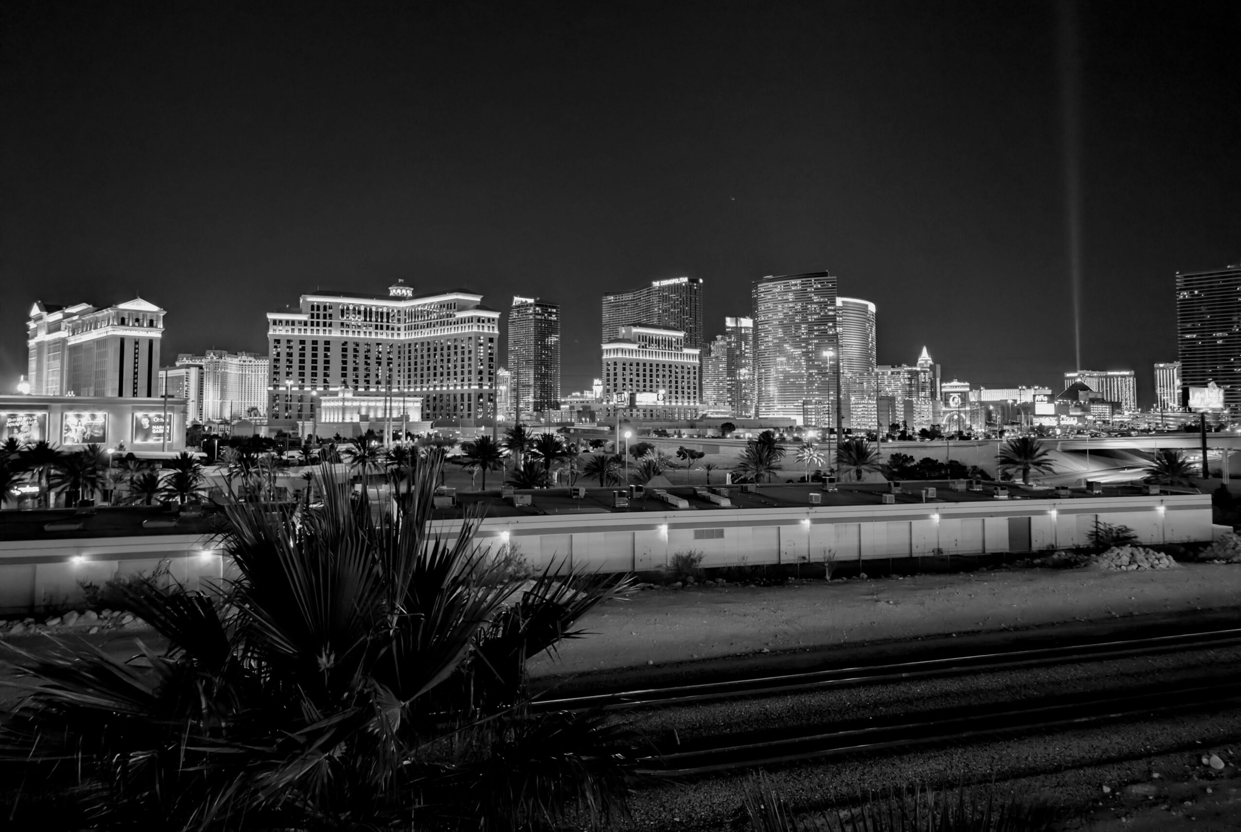 Night city skyline with illuminated buildings, dark sky, and foreground with plants and train tracks.