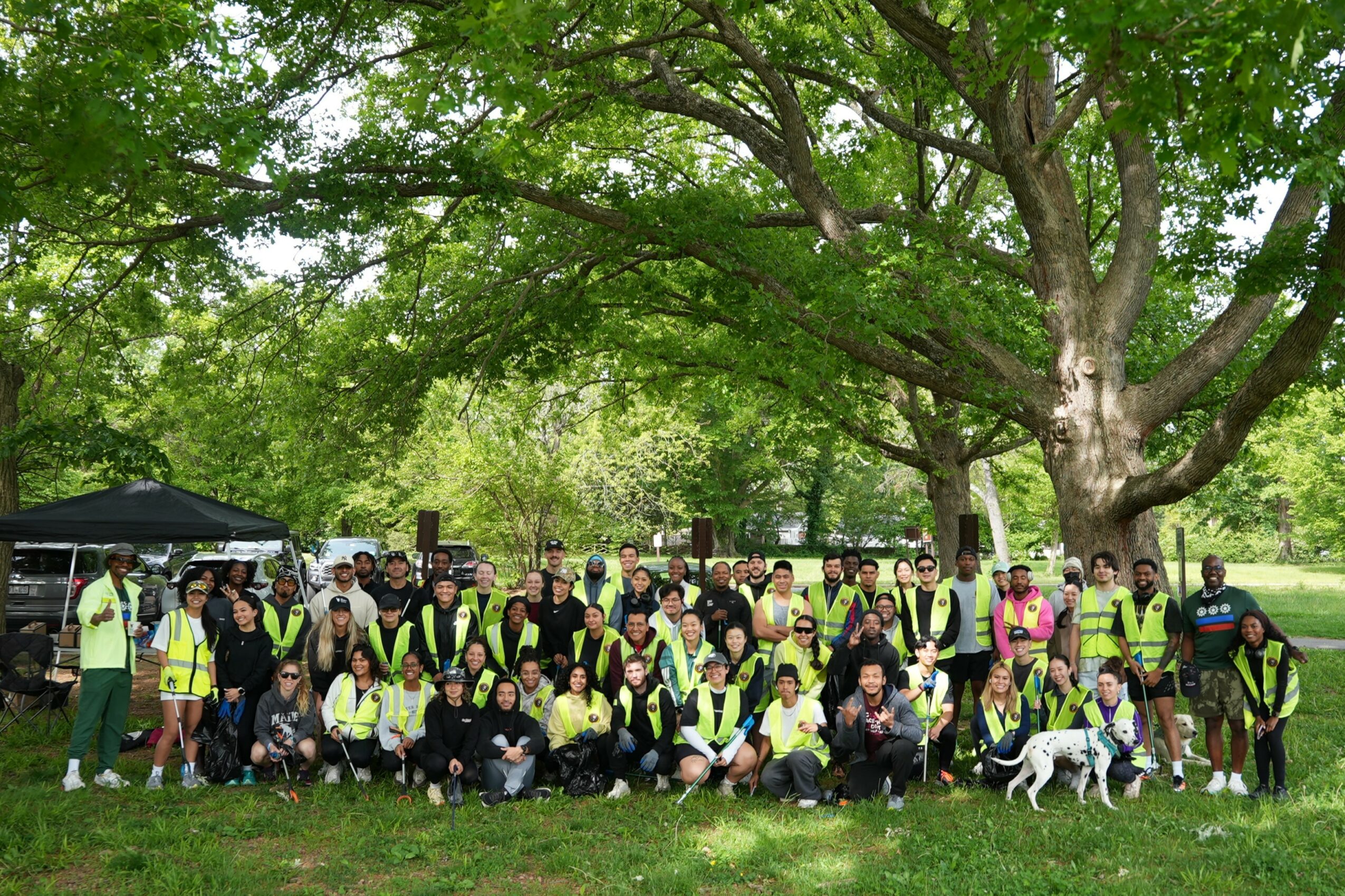 Group of people wearing yellow safety vests gathered outdoors under a large tree, with some dogs present.