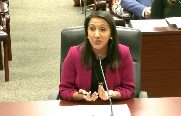 Woman in pink blazer speaking into a microphone at a formal meeting, seated at a table with other people in the background.