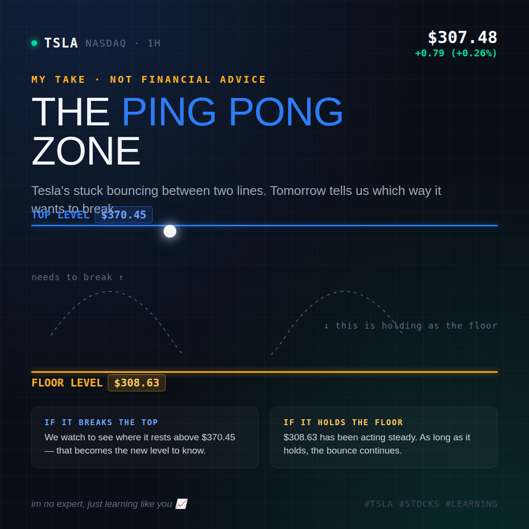 Digital stock market display with Tesla stock price, title 'The Ping Pong Zone', and floor level information.