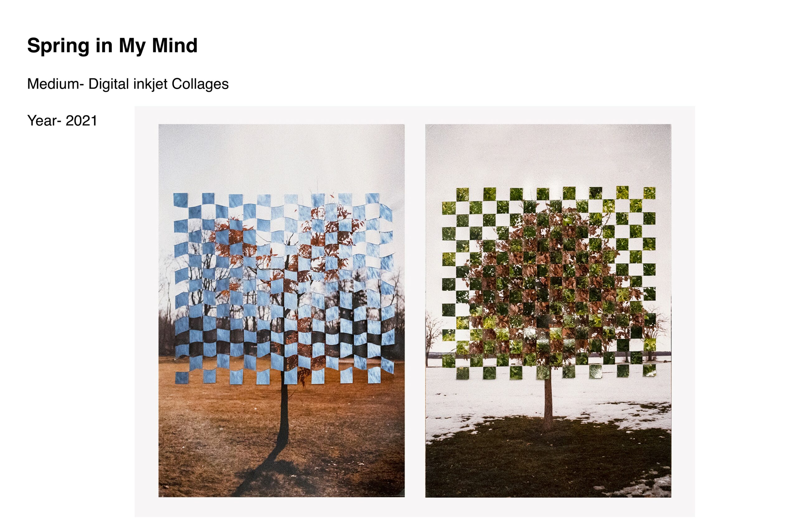 Two digital collage images of trees with checkered backgrounds, one with blue sky and the other with green leaves, titled 'Spring in My Mind'.